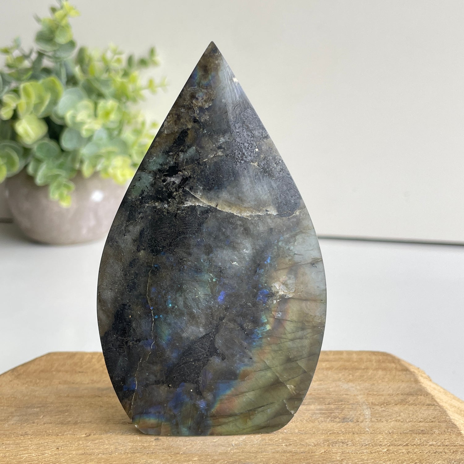 Labradorite Flame 11.4cm