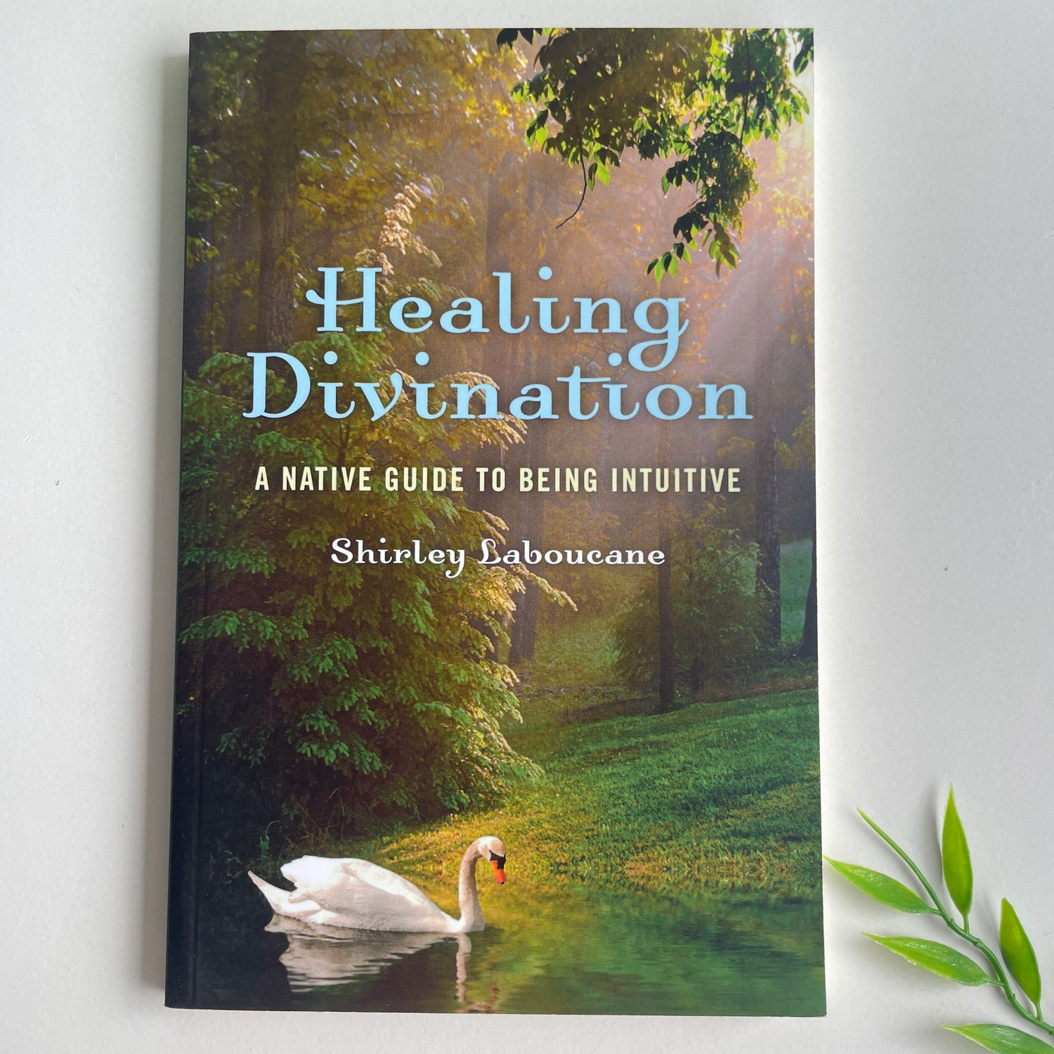 Healing Divination Shirley Laboucane