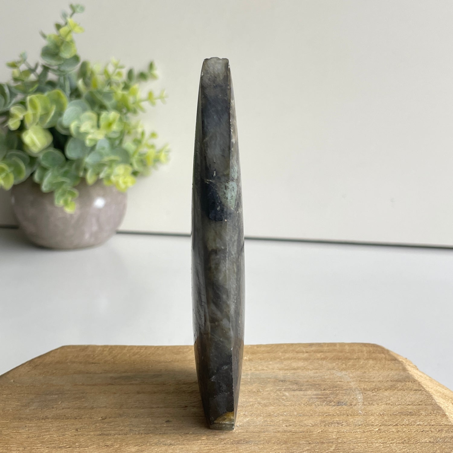Labradorite Flame 11.4cm
