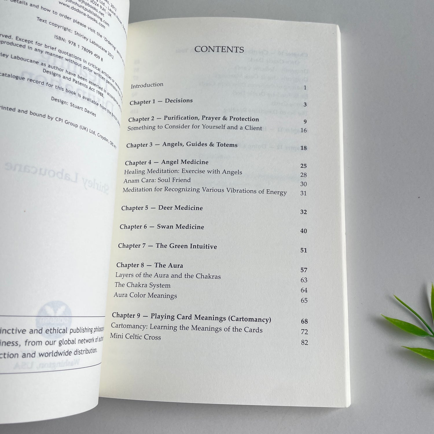 Healing Divination Shirley Laboucane