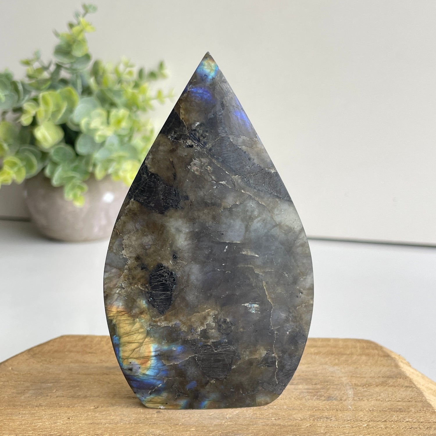 Labradorite Flame 11.4cm