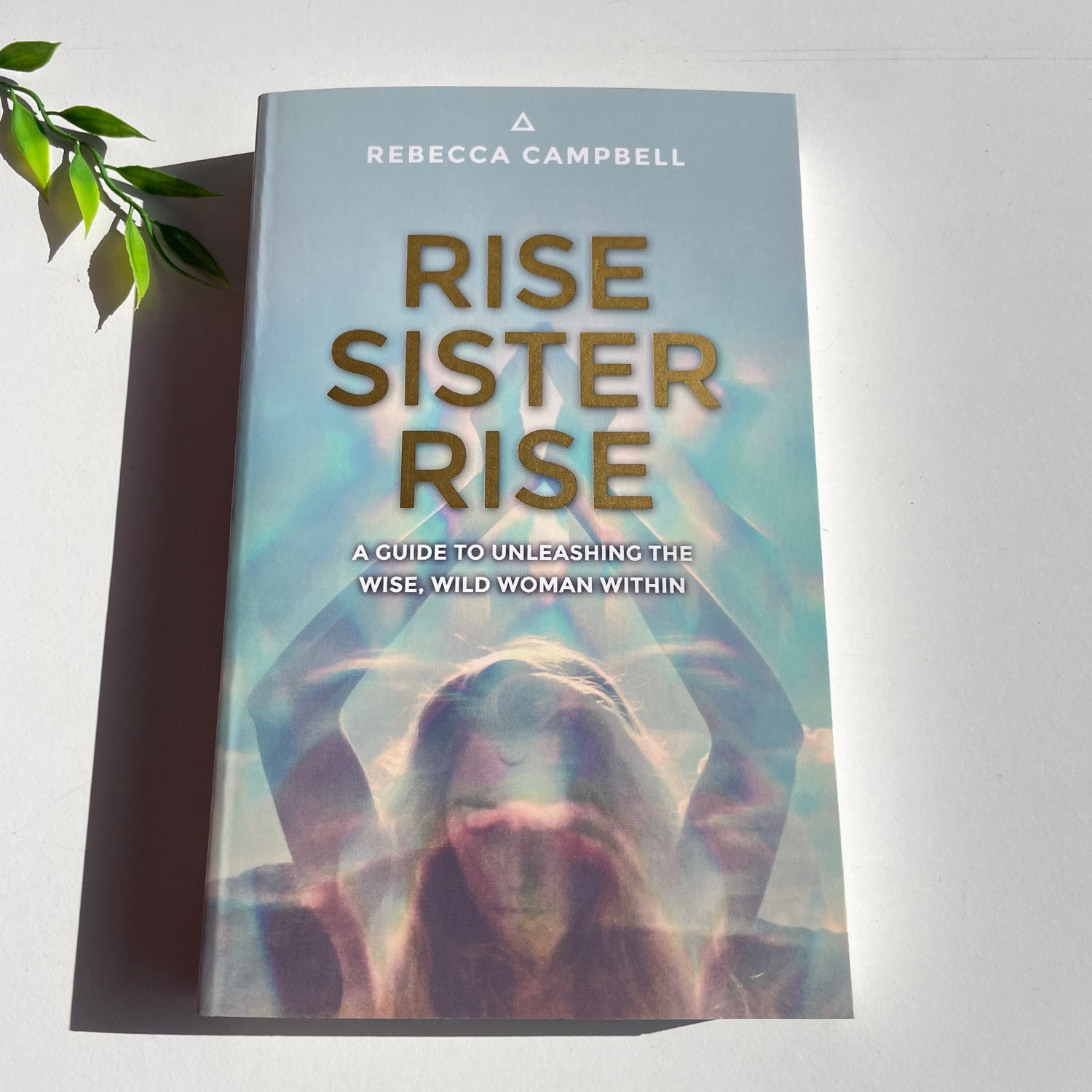 Rise Sister Rise Rebecca Campbell