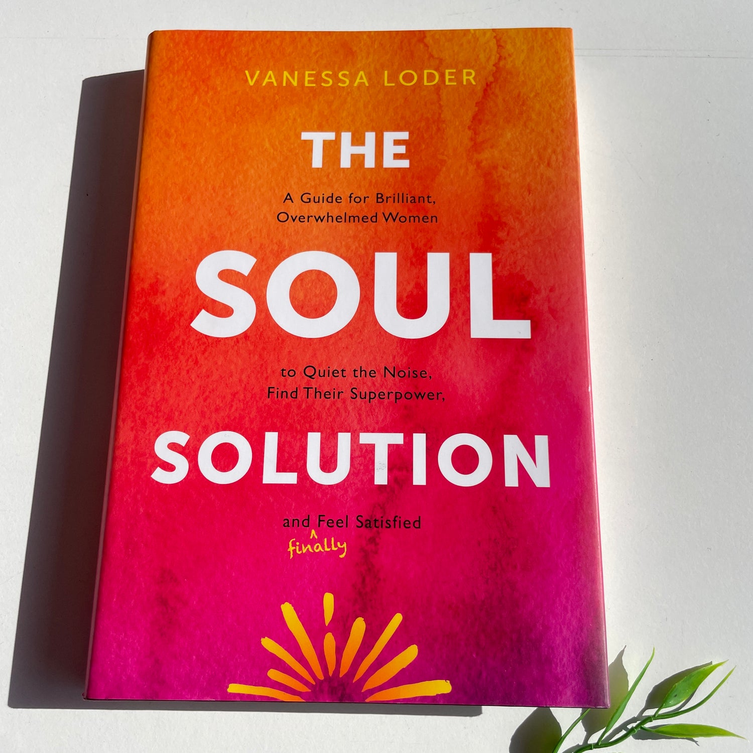 The Soul Solution Vanessa Loder