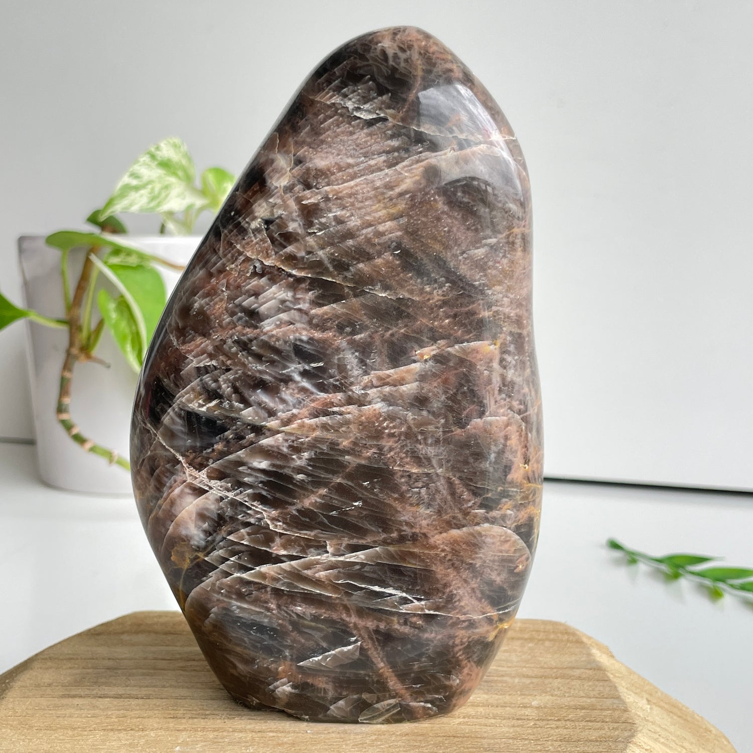 Black Moonstone Freeform 16cm