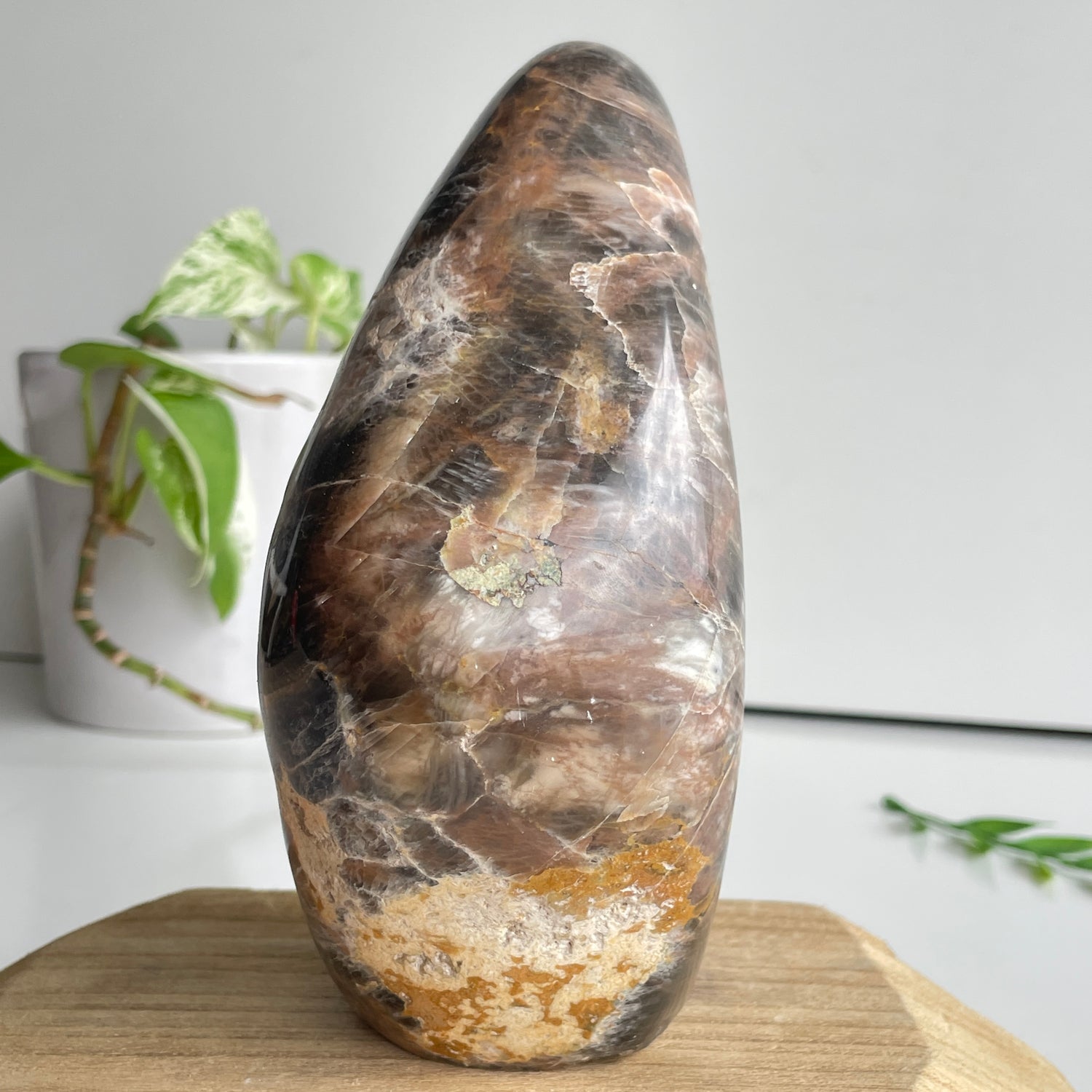 Black Moonstone Freeform 16cm