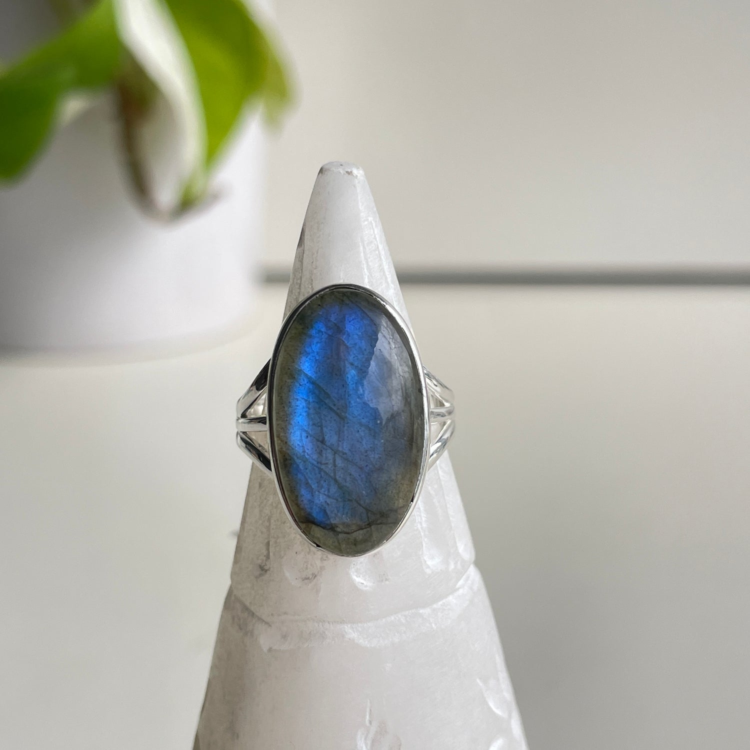 Labradorite Oval Ring Sz6