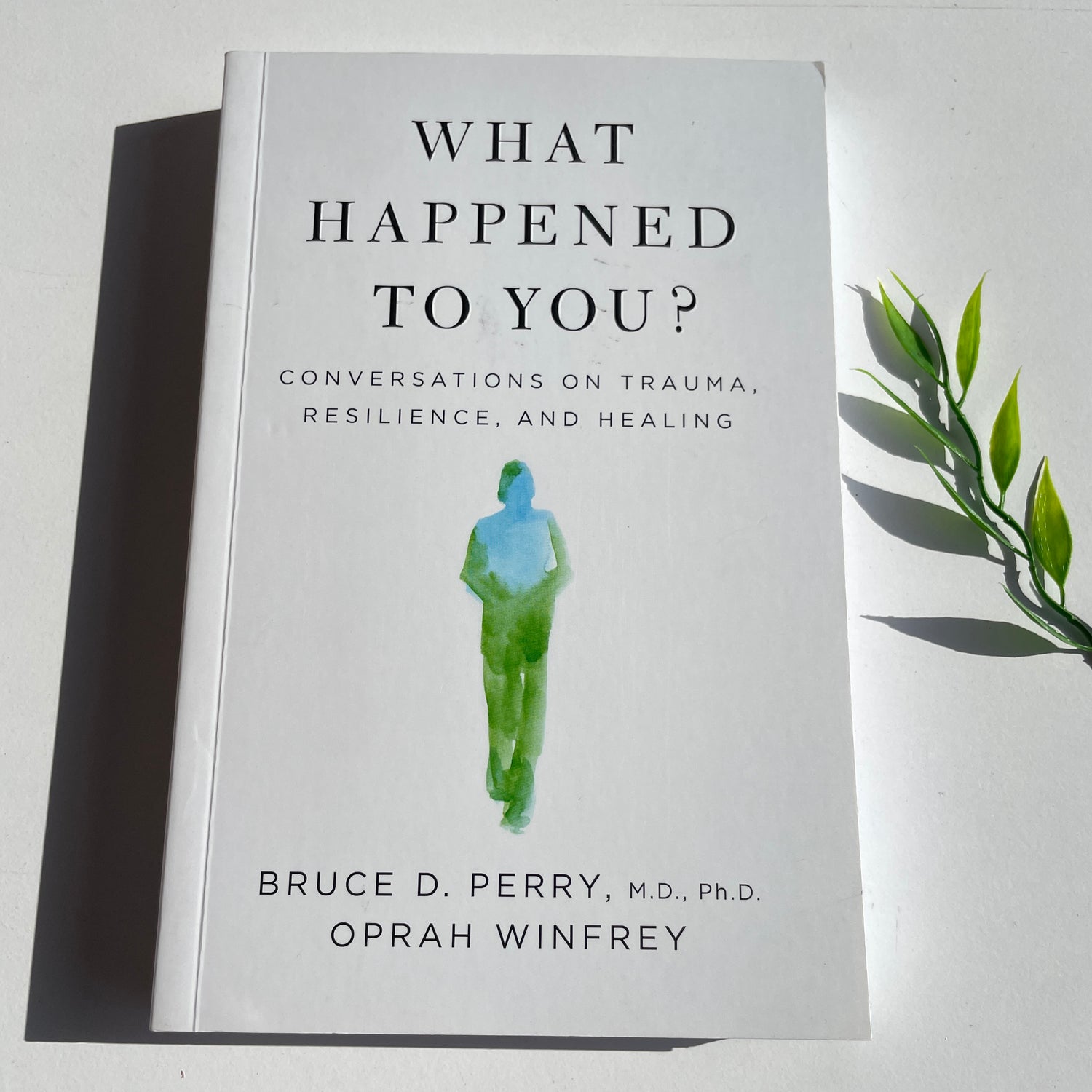 What Happened To You Bruce Perry Oprah Winfrey