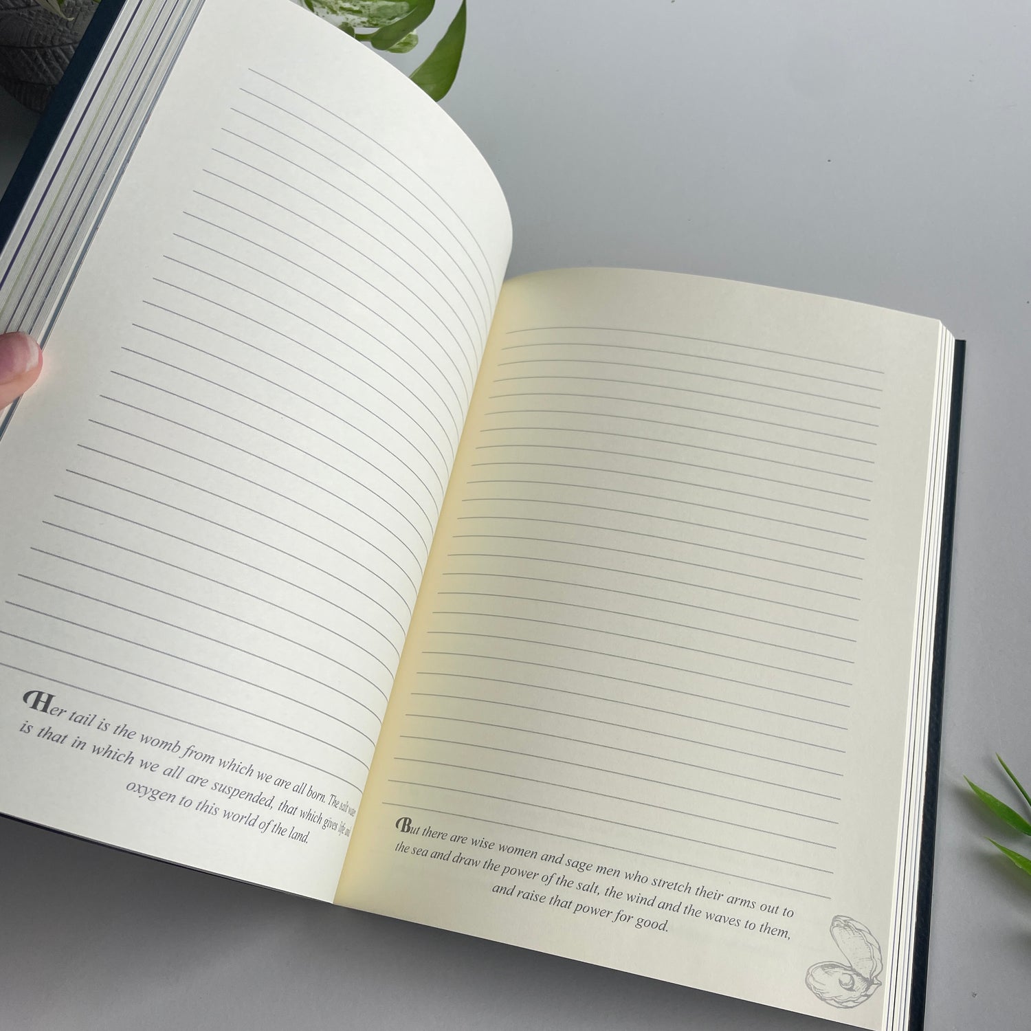 The Mermaids Mirror Journal