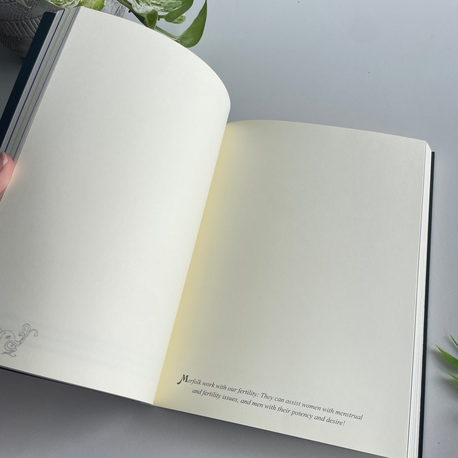 The Mermaids Mirror Journal