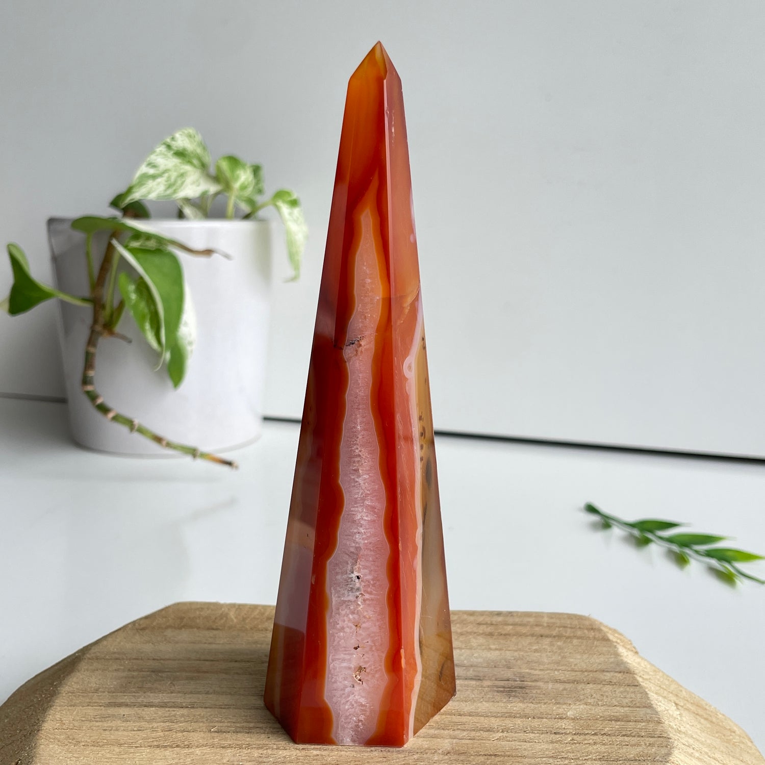 Carnelian Point 16.3cm