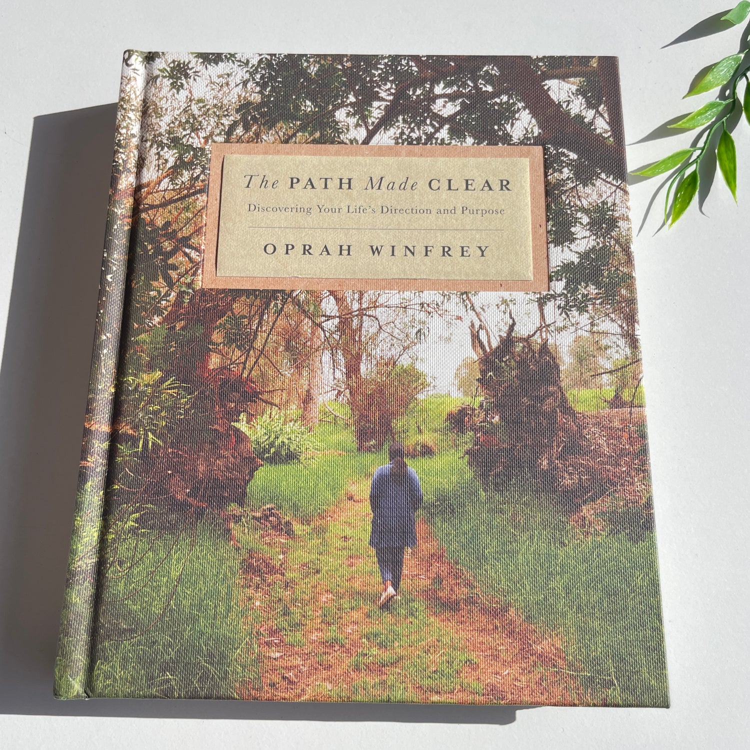The Path Made Clear Oprah Winfrey