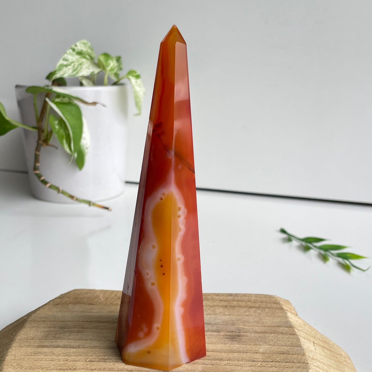 Carnelian Point 16.3cm