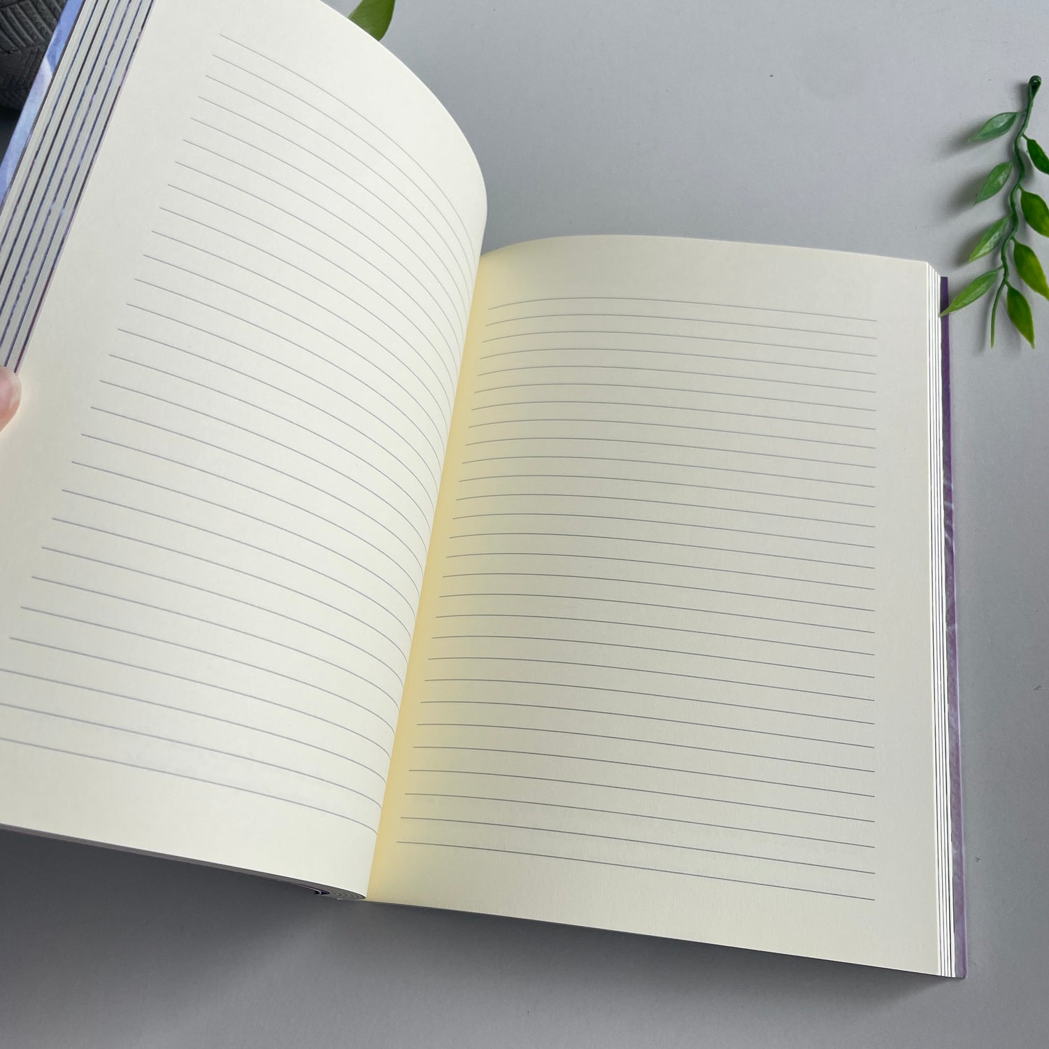 Beyond Lemuria Journal