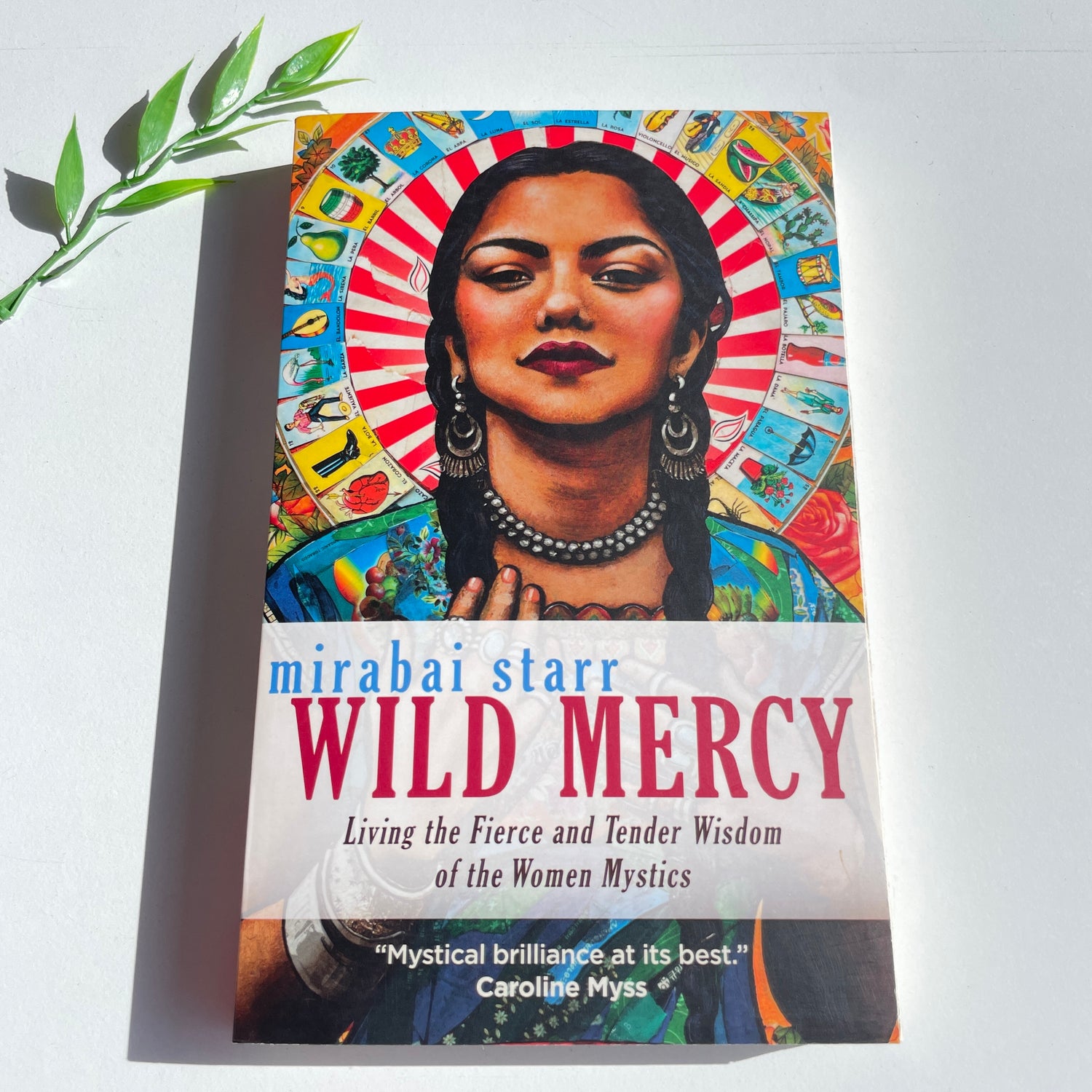 Wild Mercy Mirabai Starr