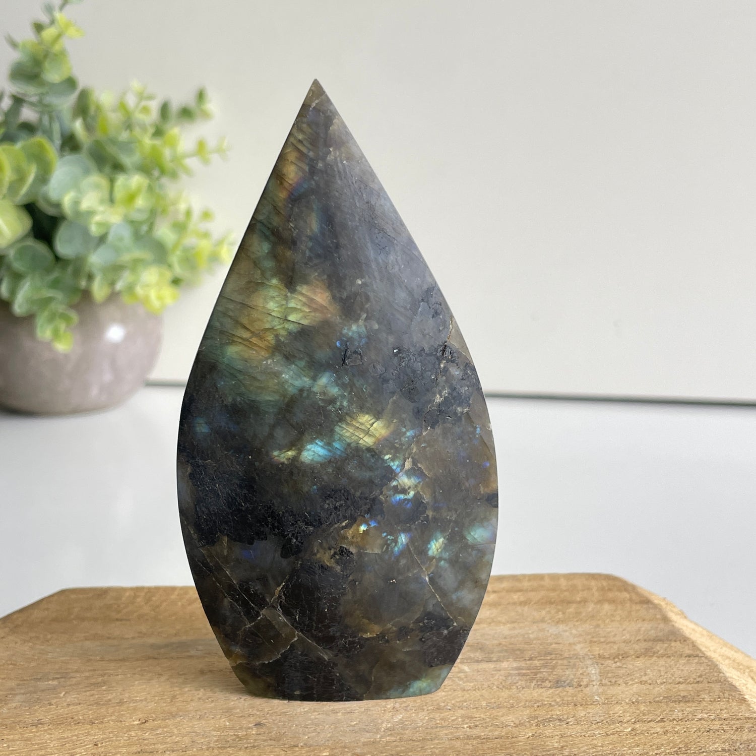 Labradorite Flame 11.3cm