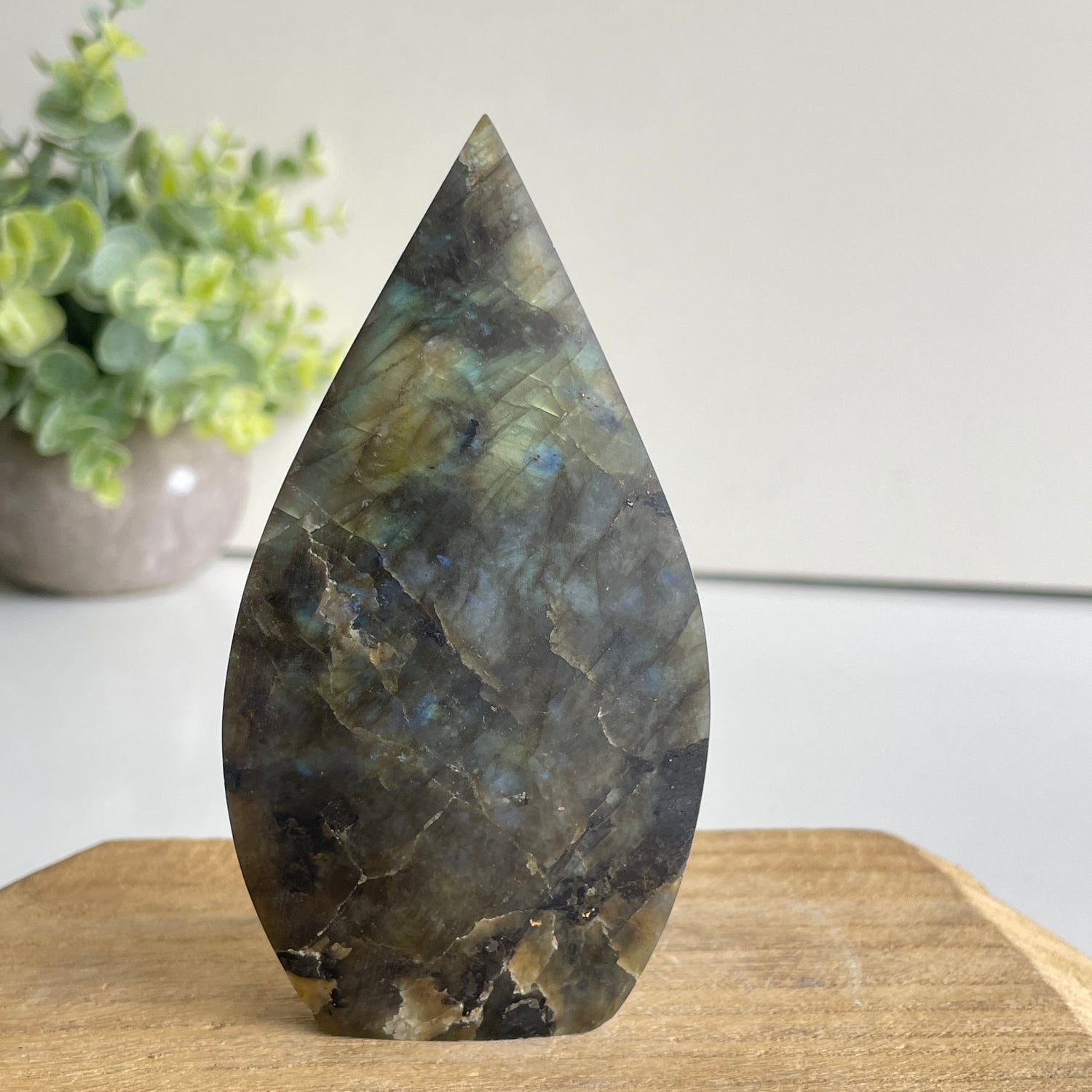 Labradorite Flame 11.3cm