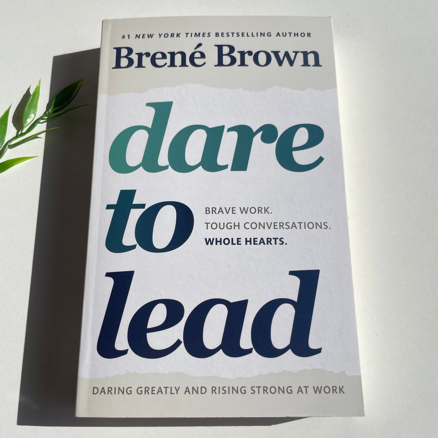 Dare To Lead Brene Brown