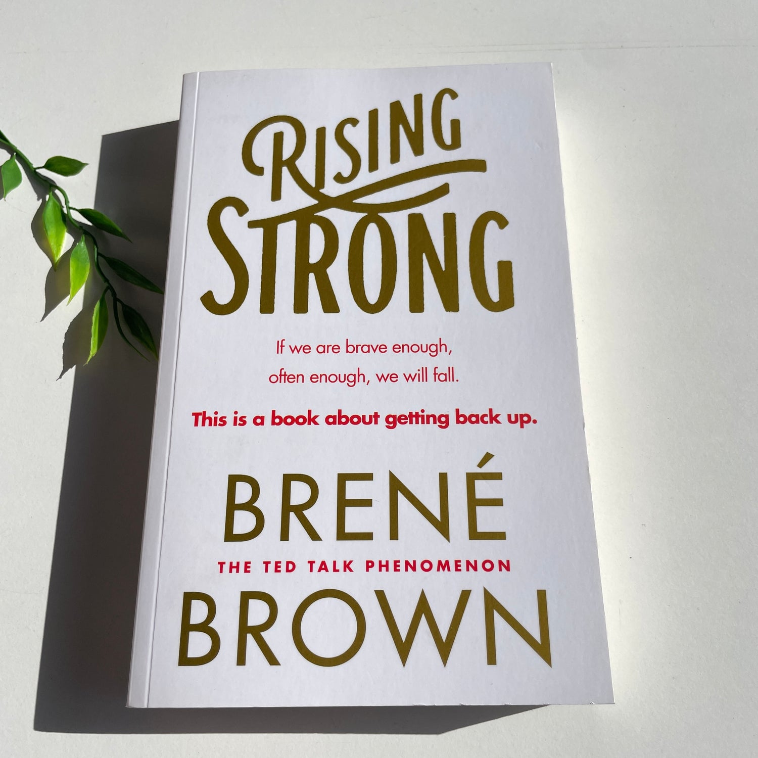 Rising Strong Brene Brown