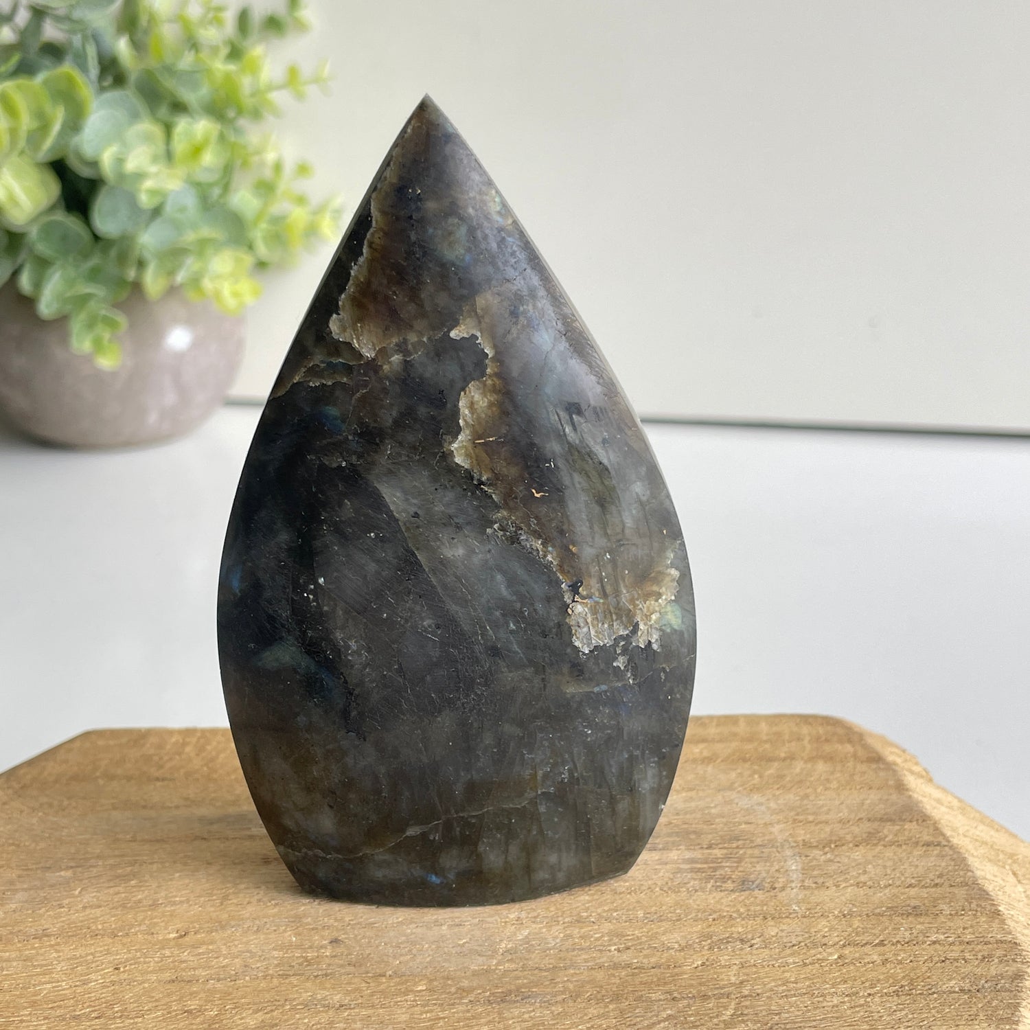 Labradorite Flame 10.9cm