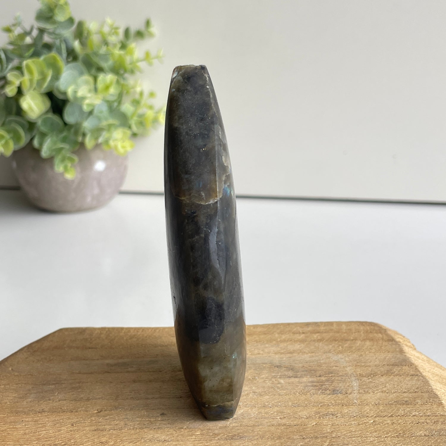 Labradorite Flame 10.9cm