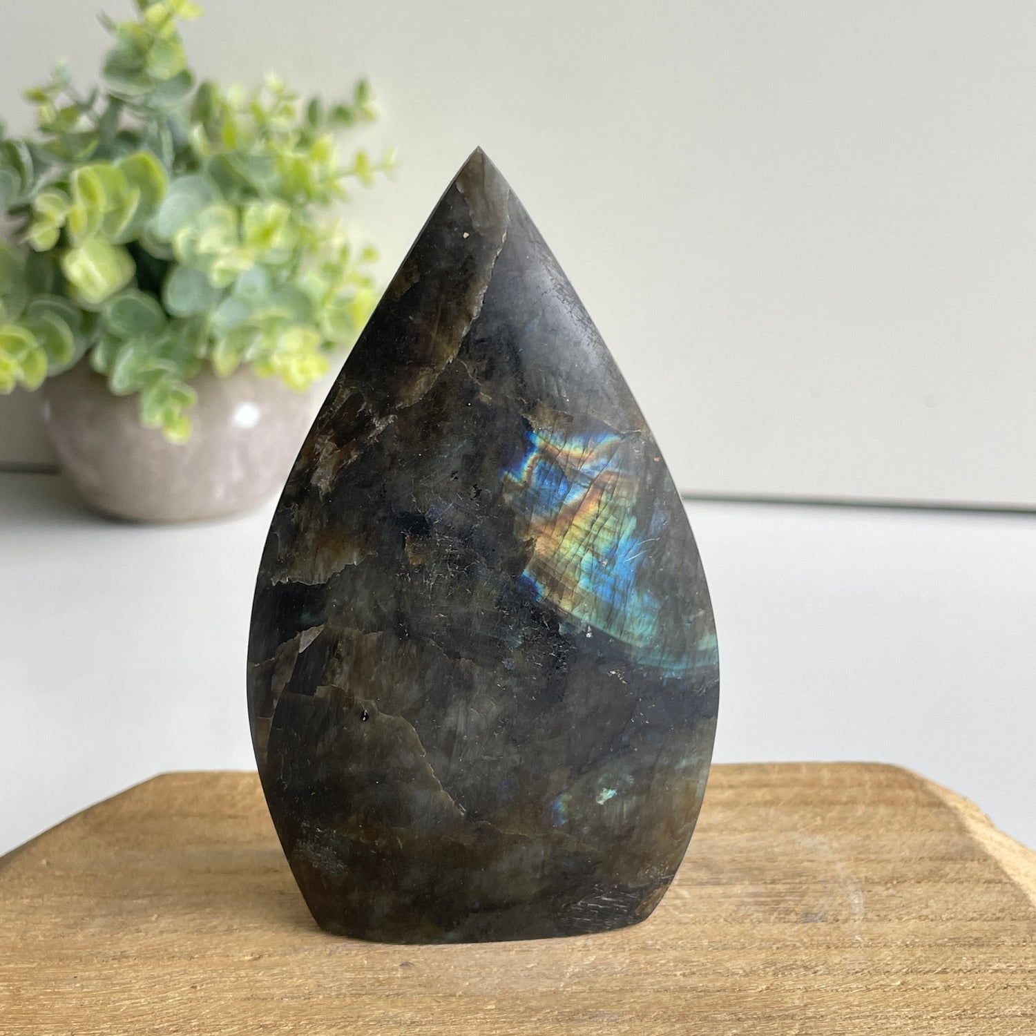 Labradorite Flame 10.9cm