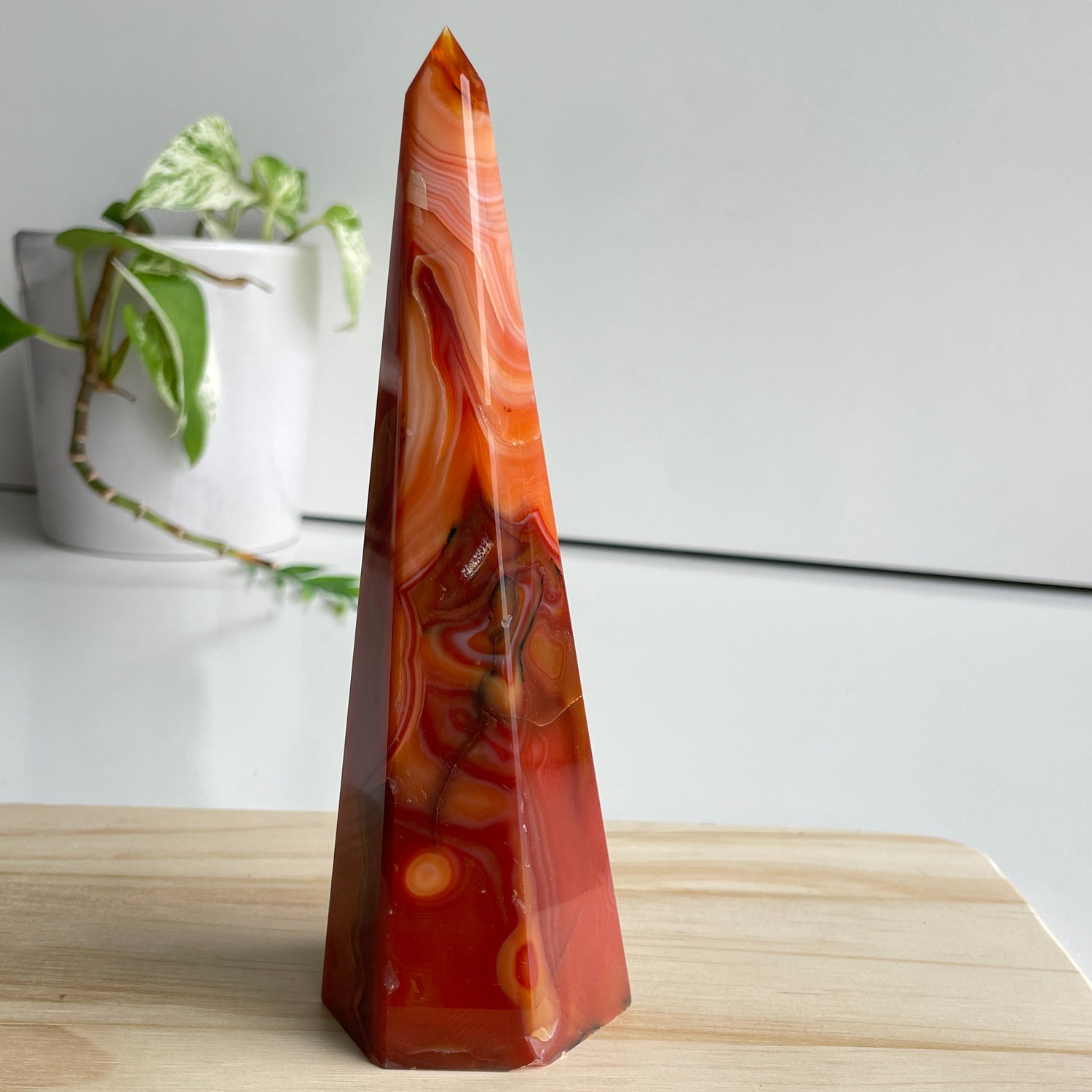 Carnelian Point 16.8cm