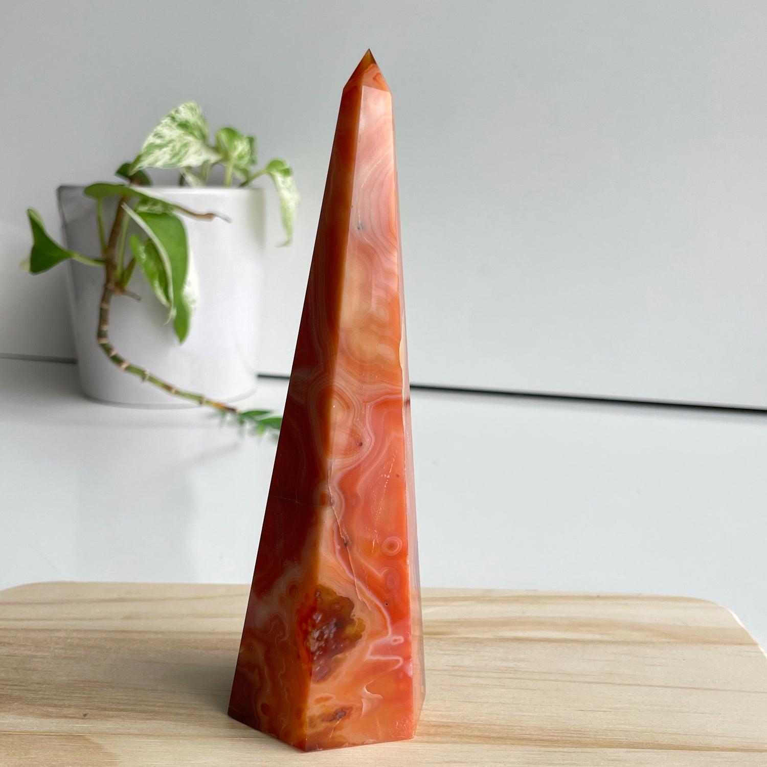 Carnelian Point 16.8cm