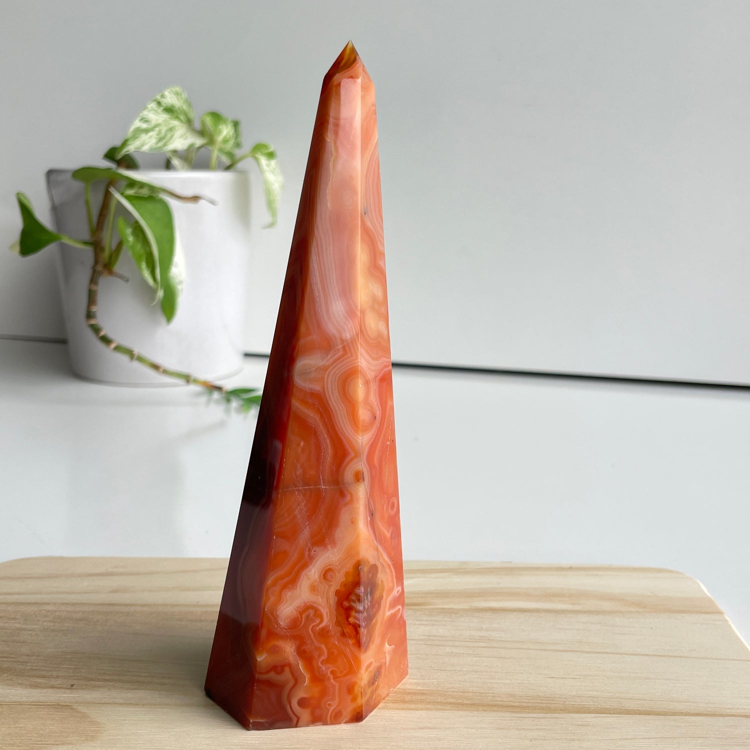Carnelian Point 16.8cm