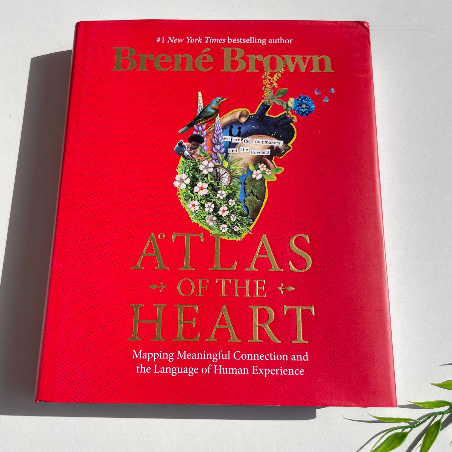 Atlas Of The Heart Brene Brown