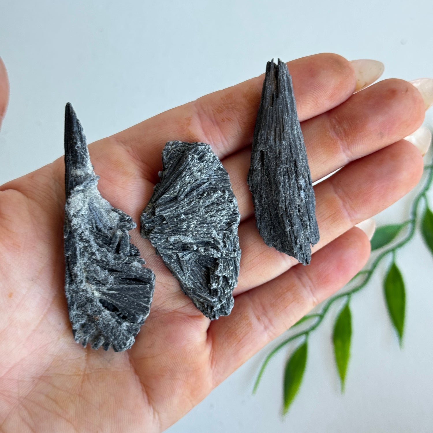 Black Kyanite