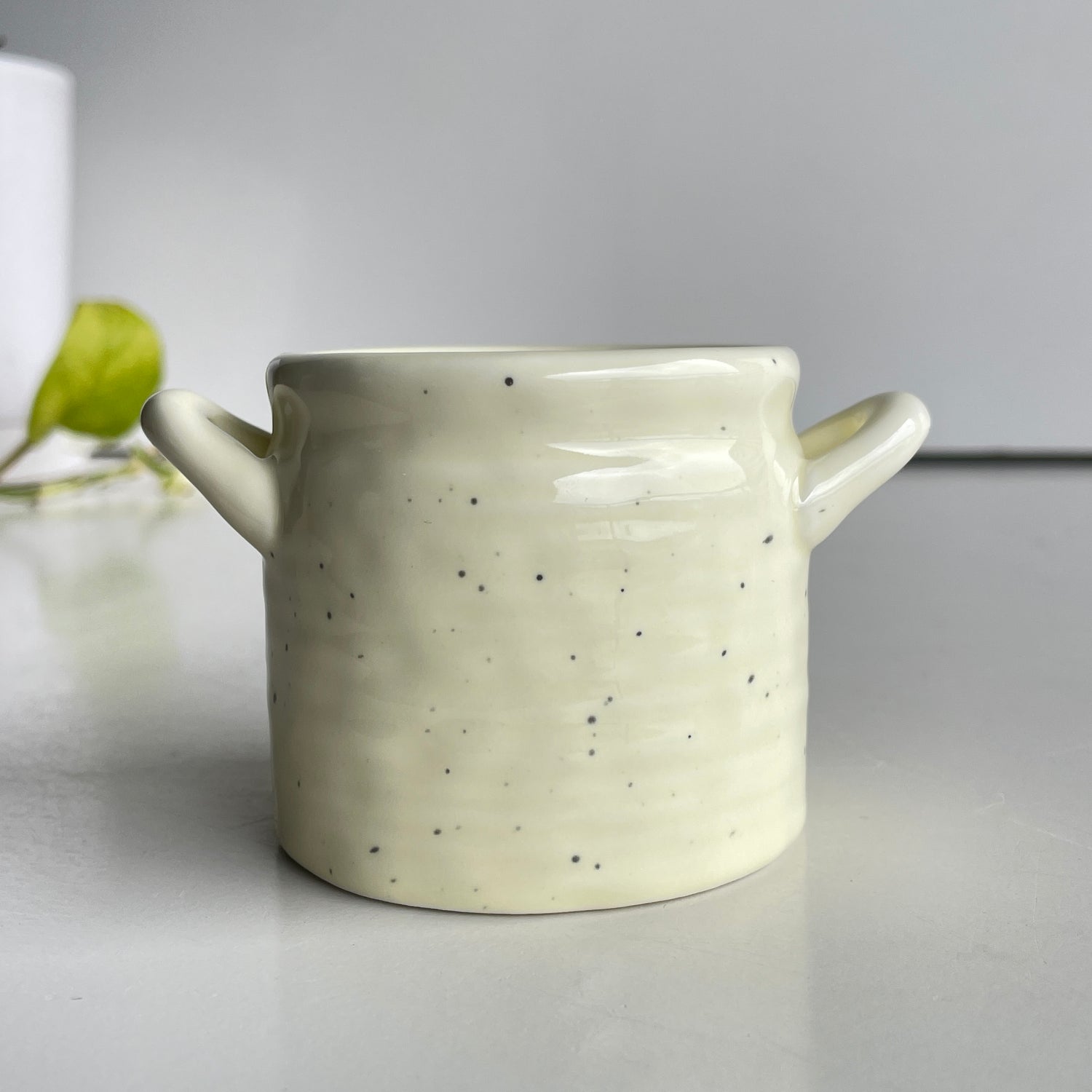 I Dig You Vase plnt000045
