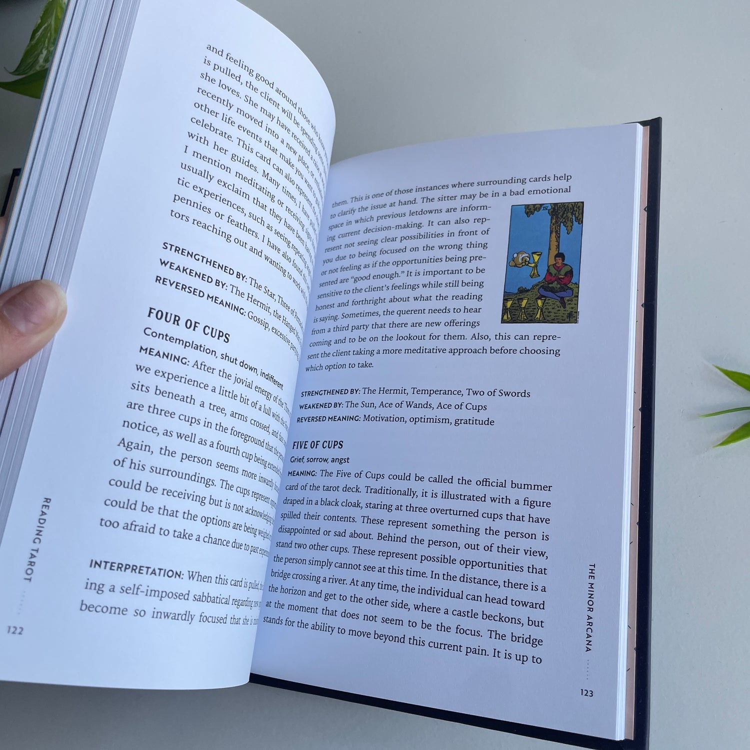 Reading Tarot April Wall