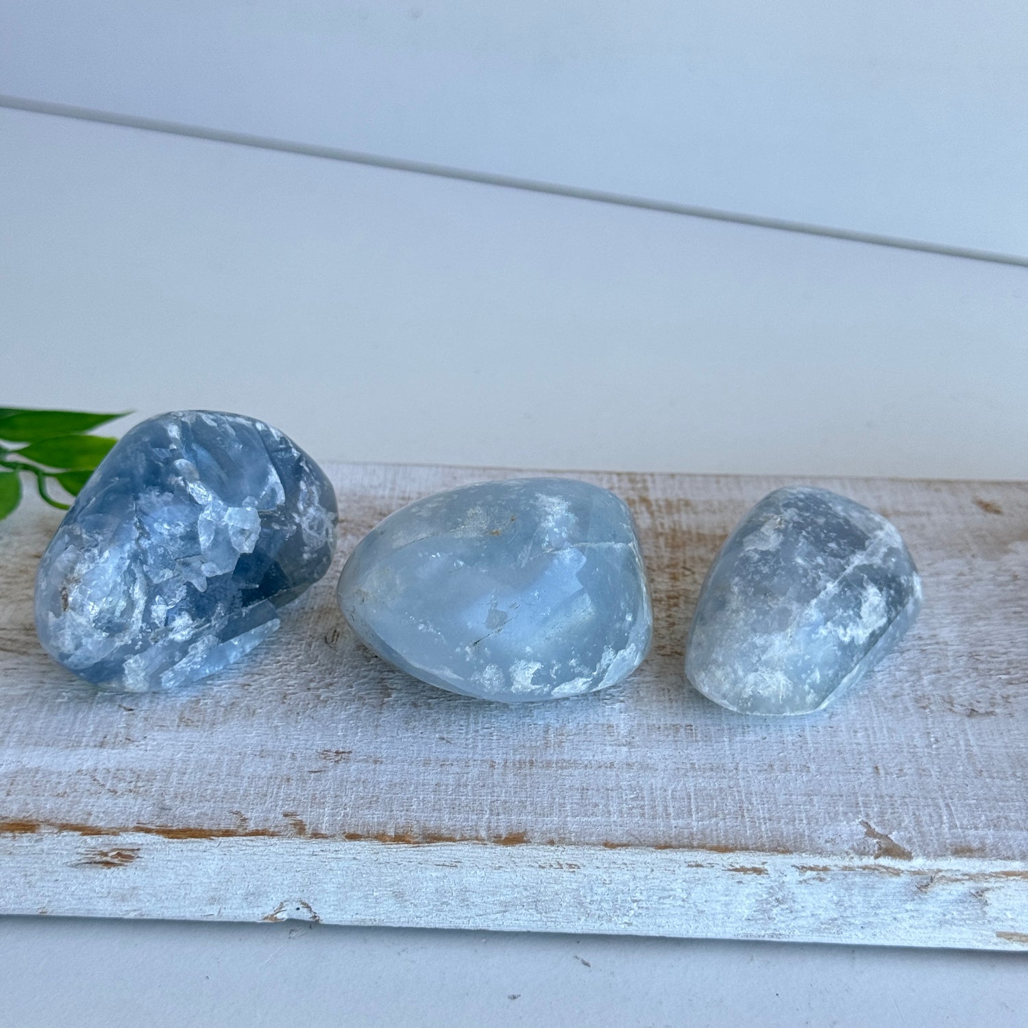 Celestite Tumbled Lge