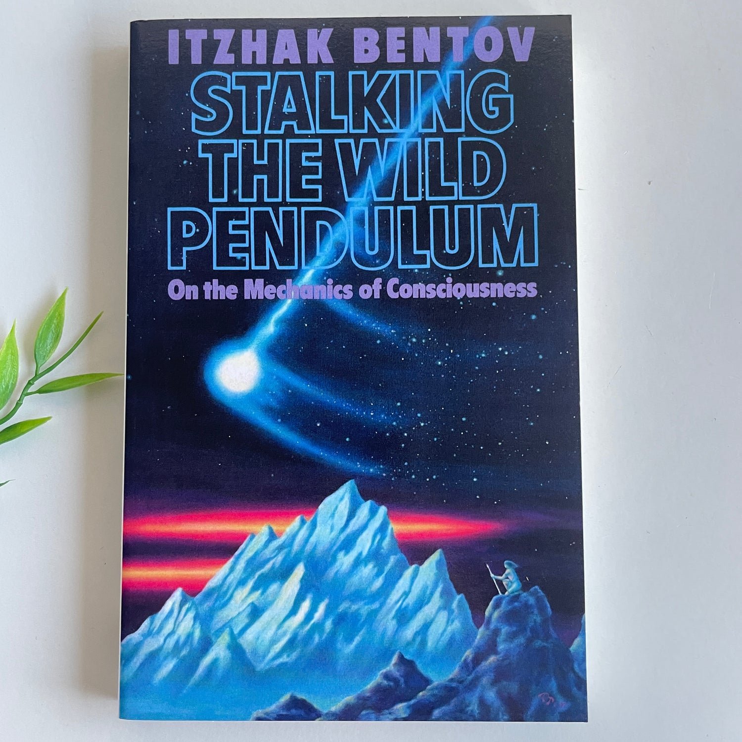 Stalking The Wild Pendulum Itzhak Bentov