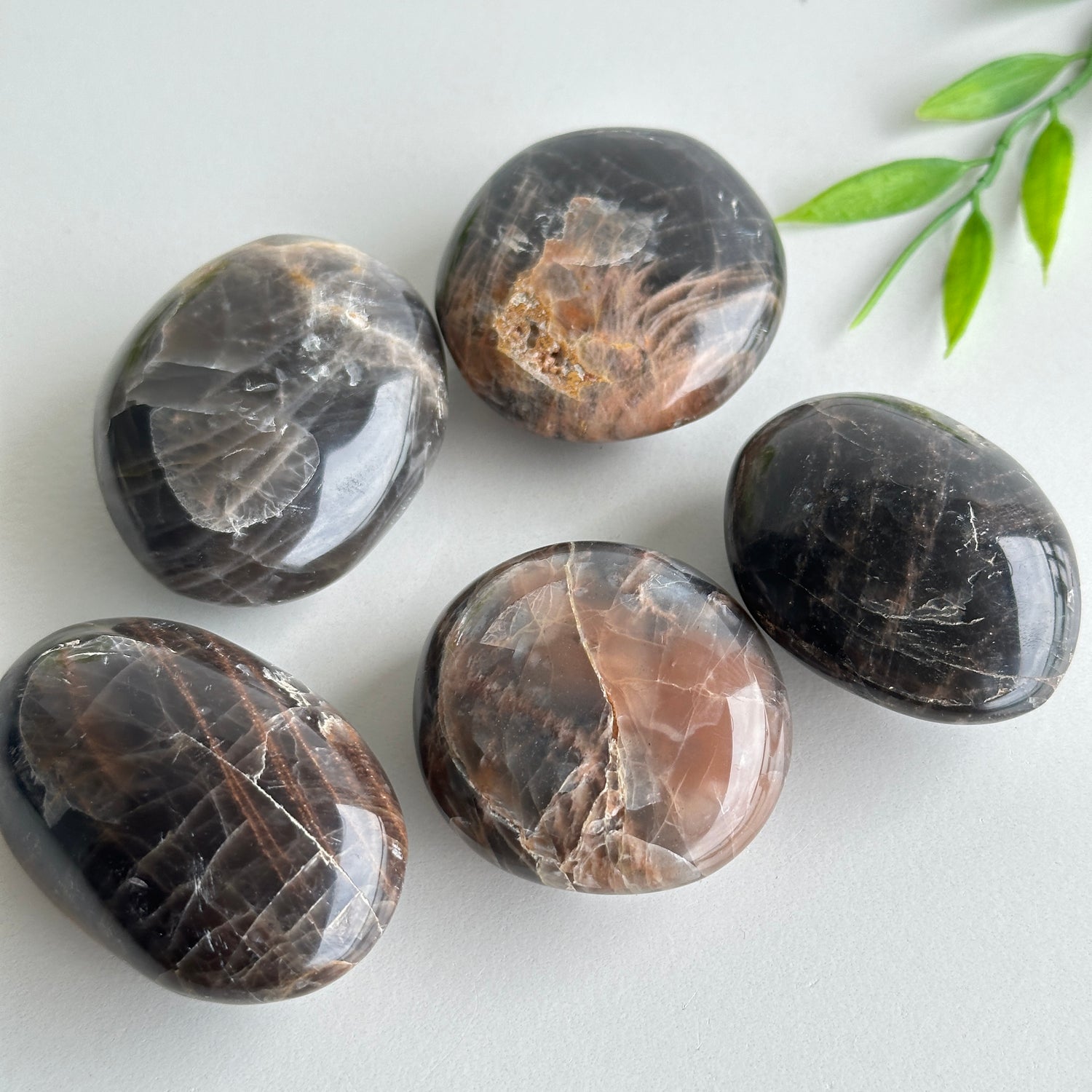 Black Moonstone Palmstone Small
