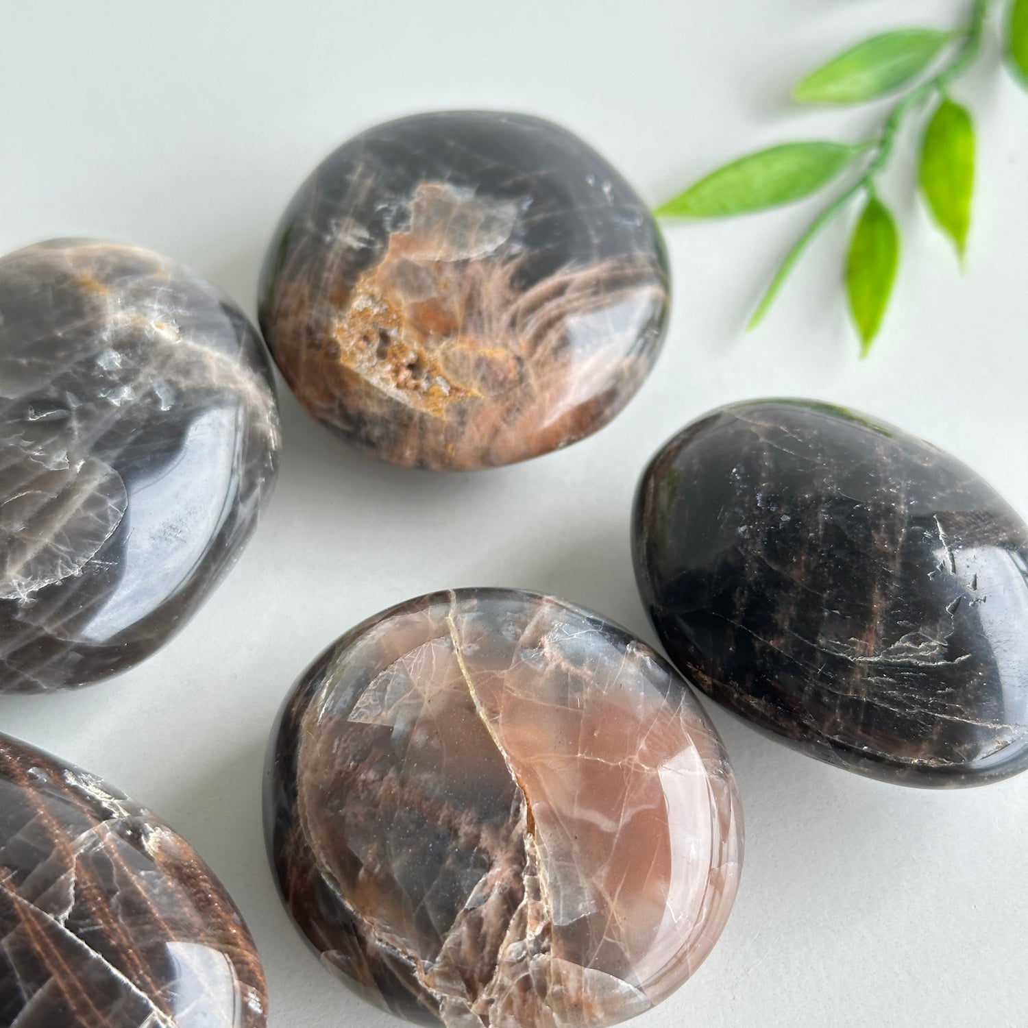 Black Moonstone Palmstone Small