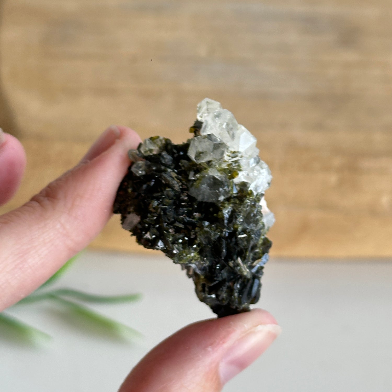 Epidote & Quartz Cluster 22g - High Quality