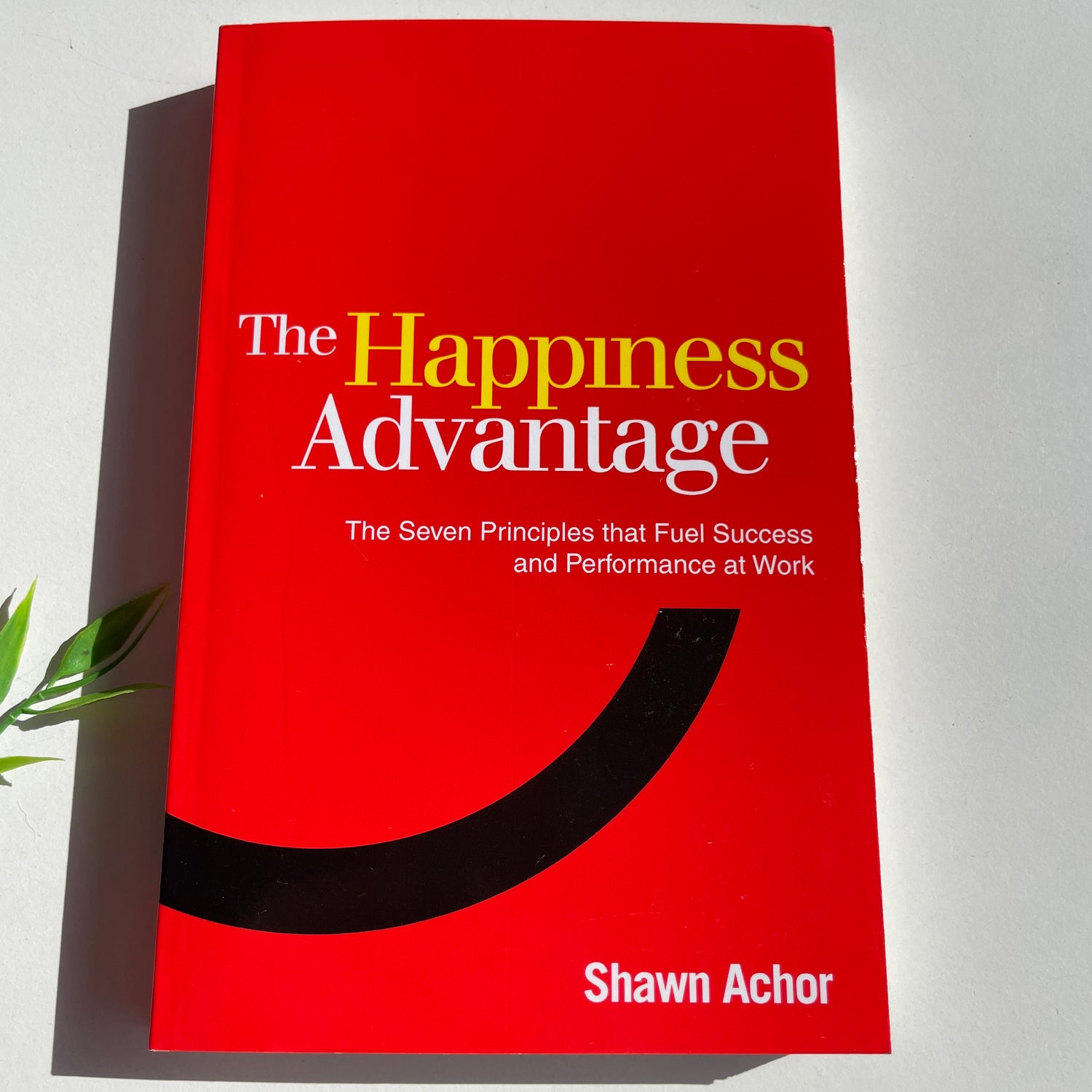 The Happiness Advantage Shawn Achor