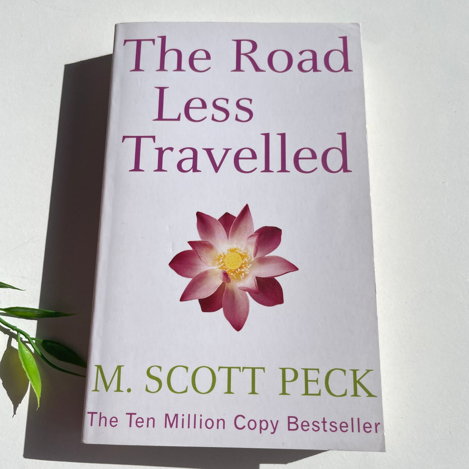 The Road Less Travelled Scott Peck