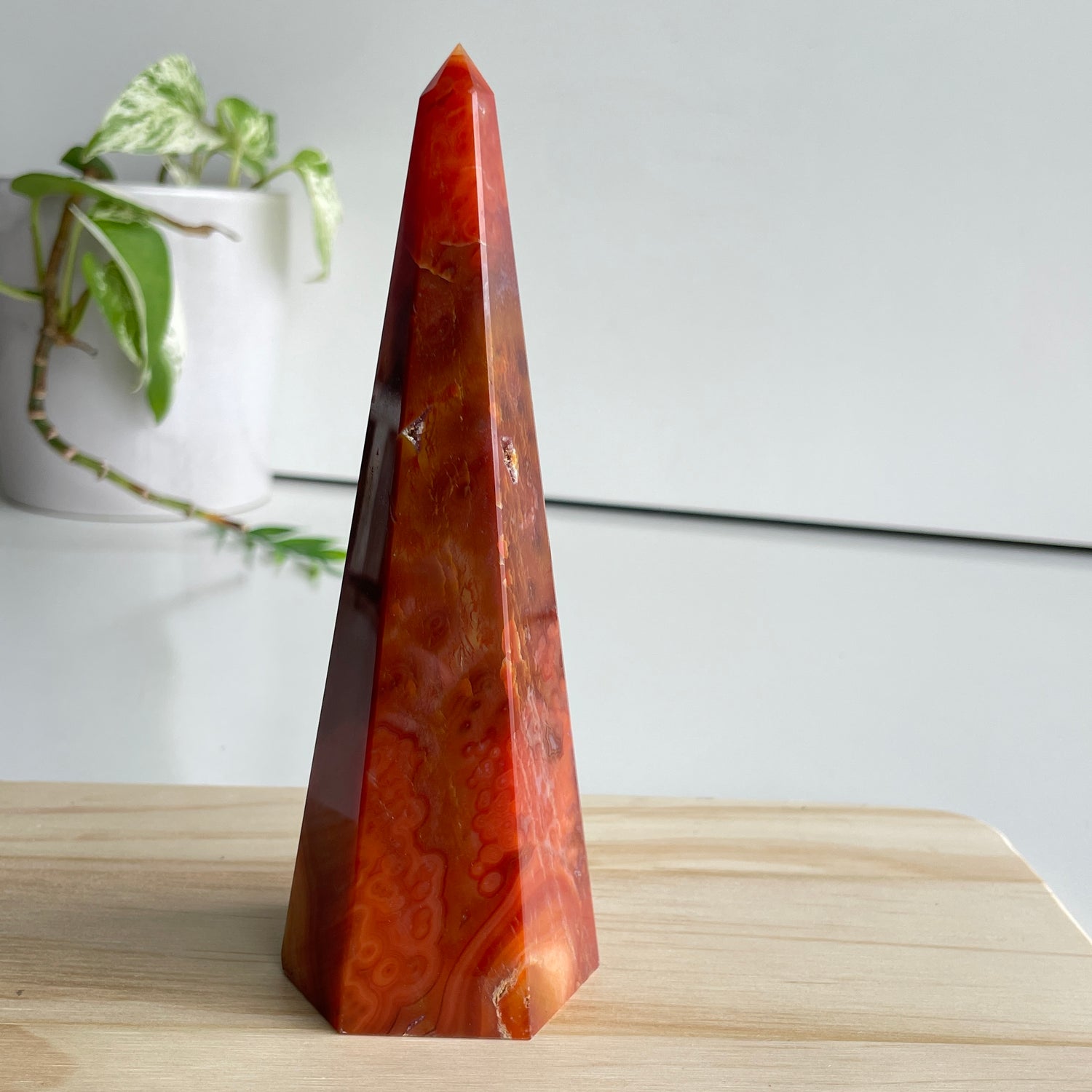 Carnelian Point 15.5cm