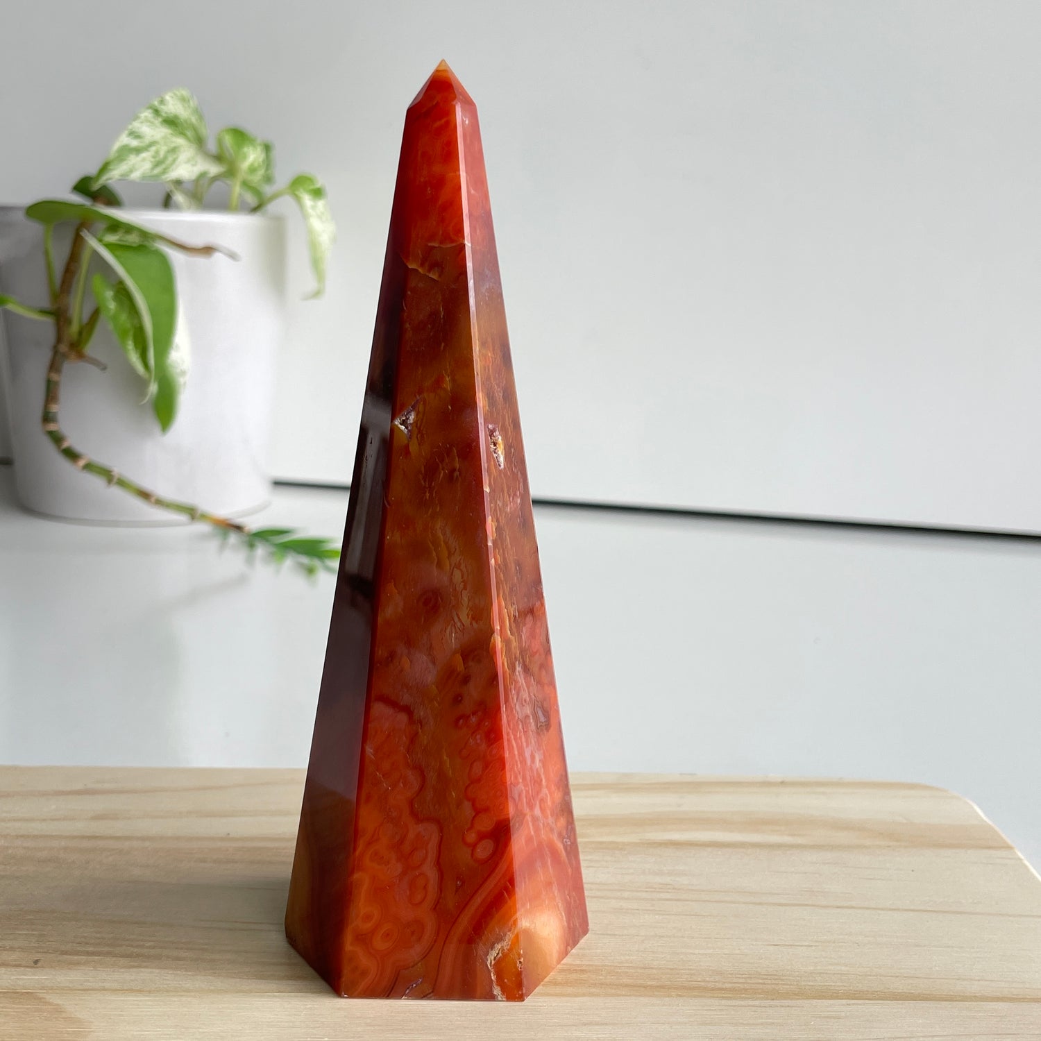 Carnelian Point 15.5cm