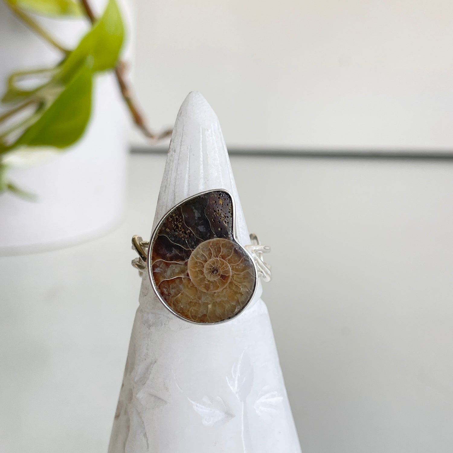 Ammonite Ring Sz8