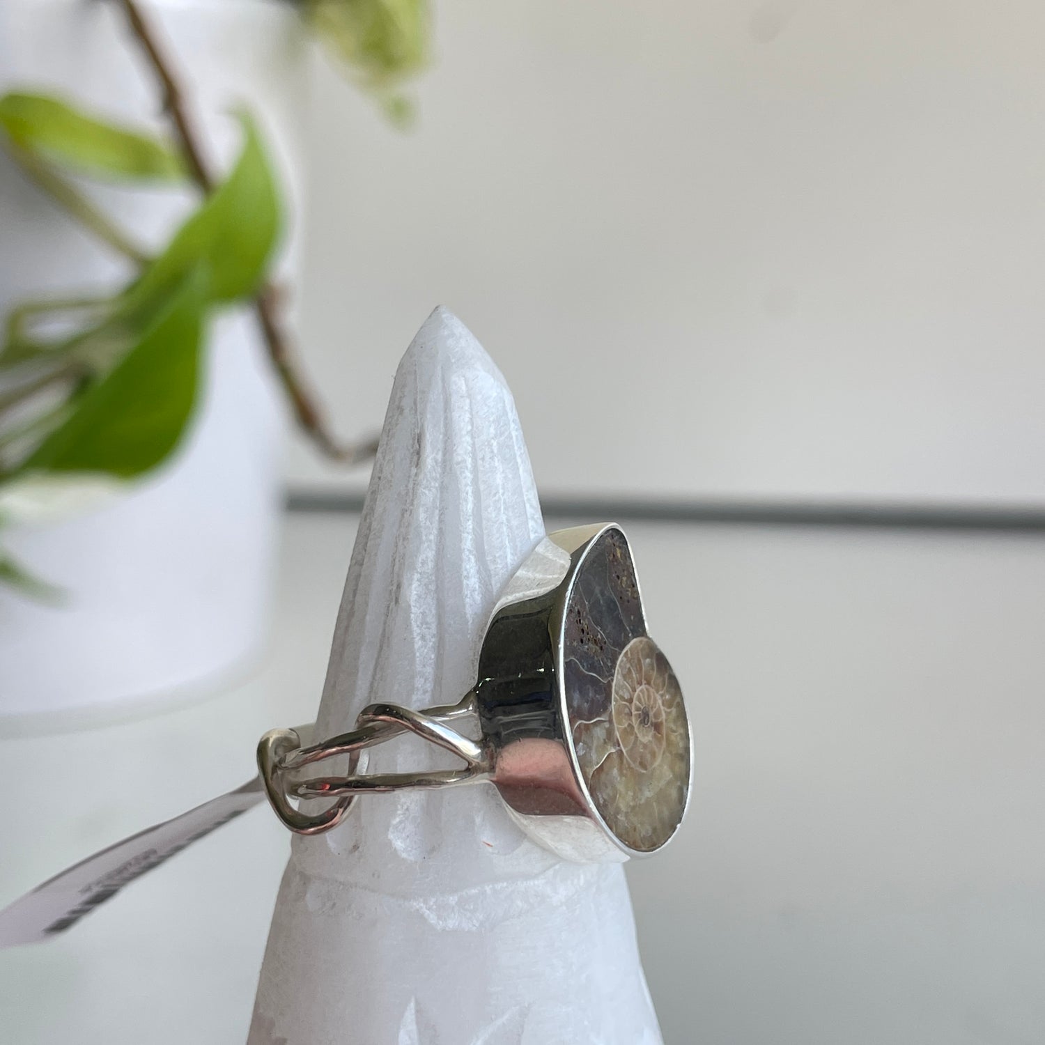 Ammonite Ring Sz8