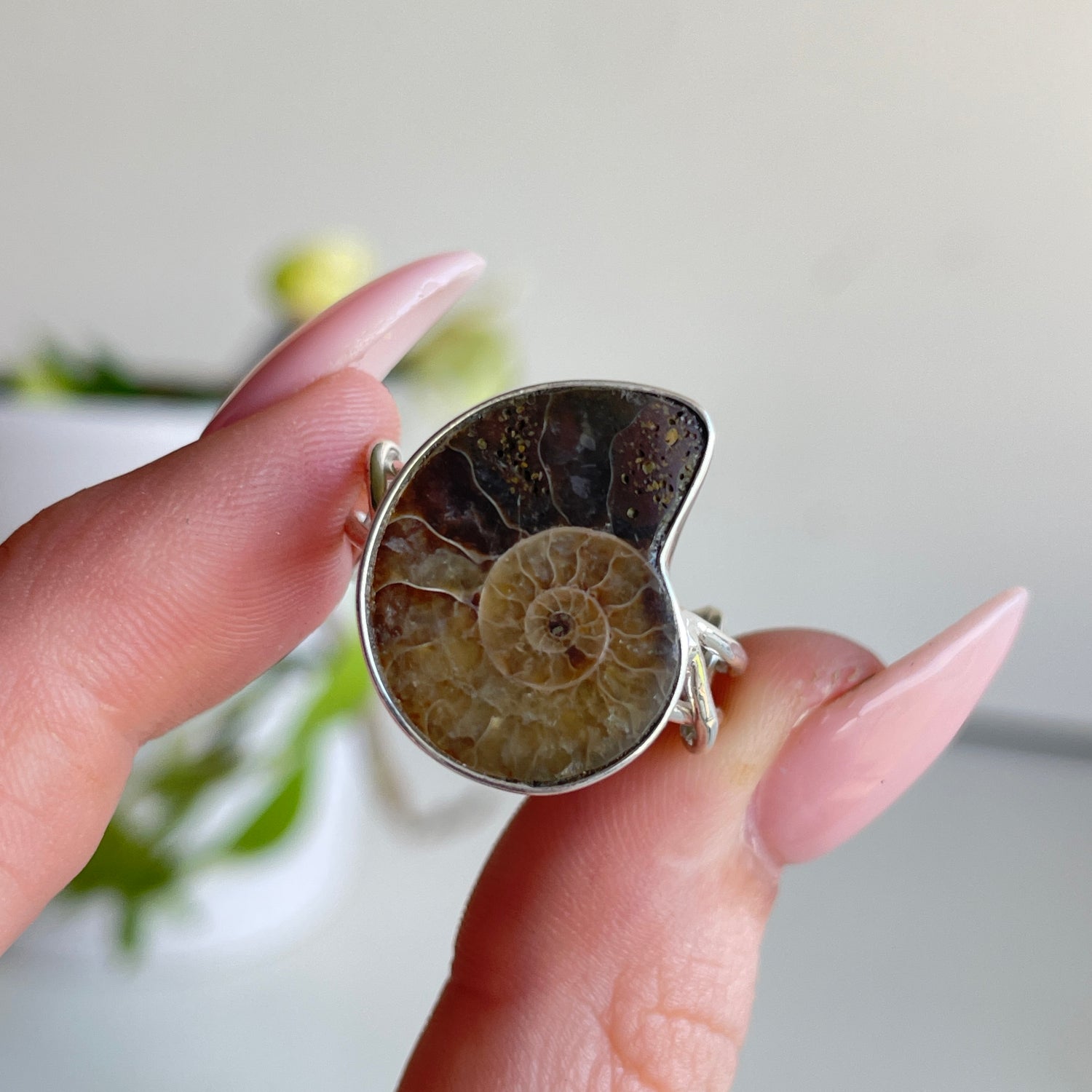Ammonite Ring Sz8