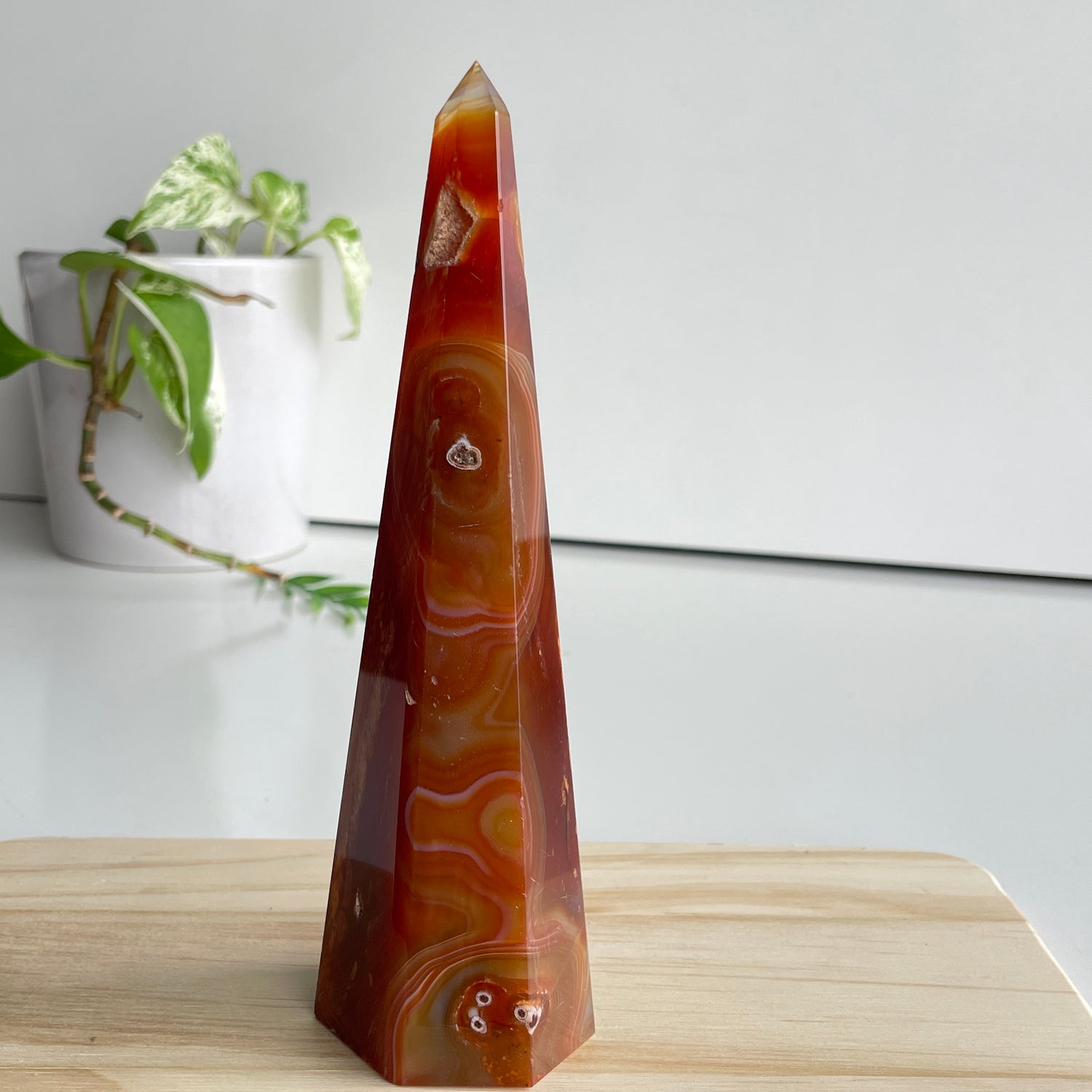 Carnelian Point 17.7cm