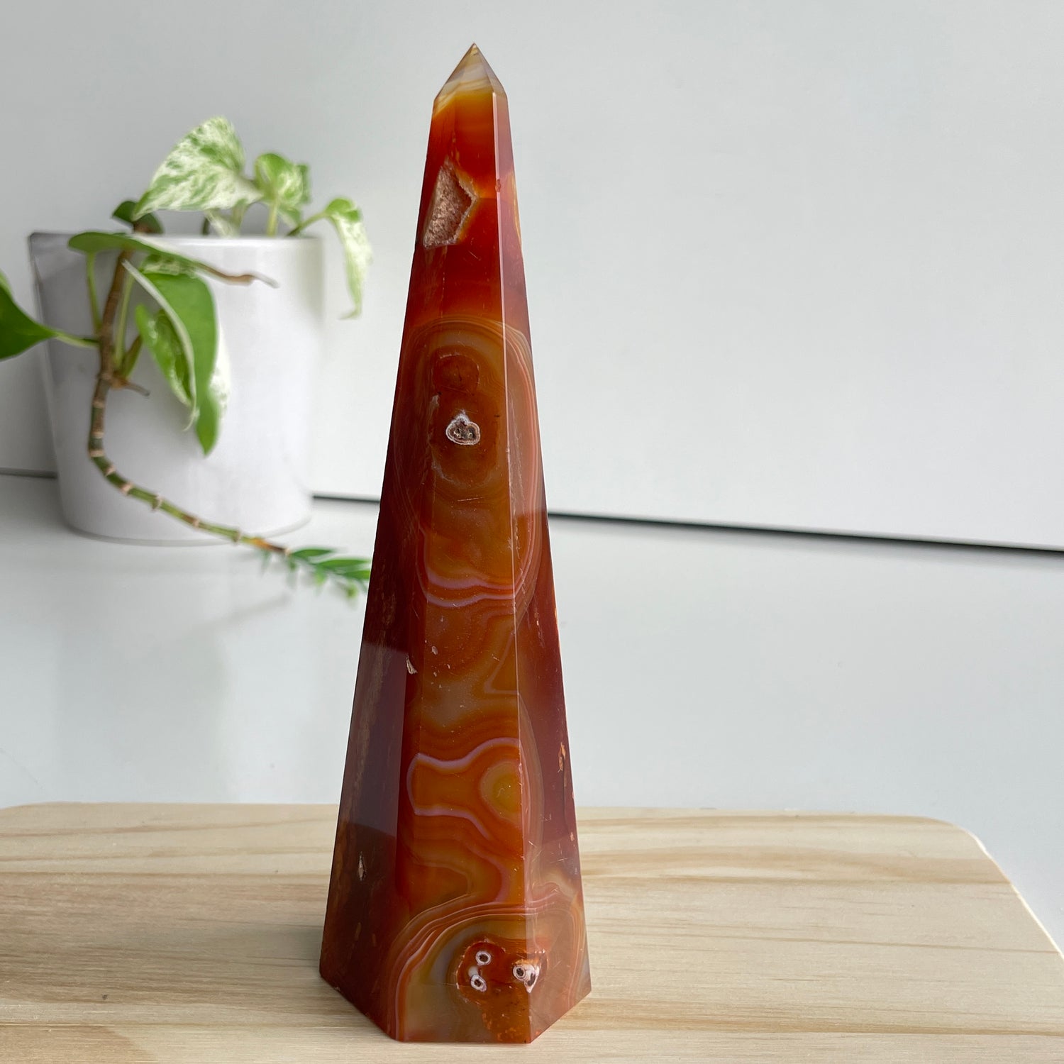 Carnelian Point 17.7cm