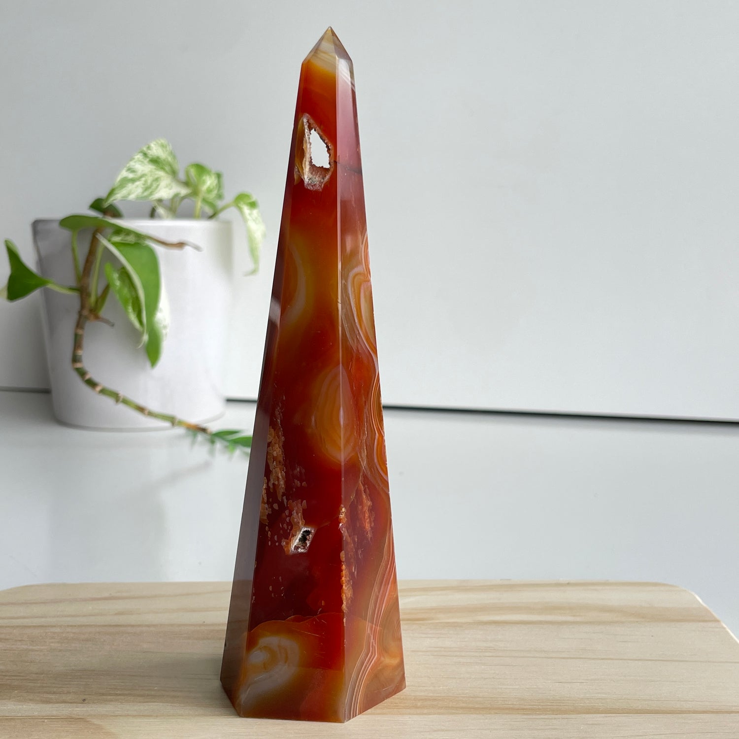 Carnelian Point 17.7cm
