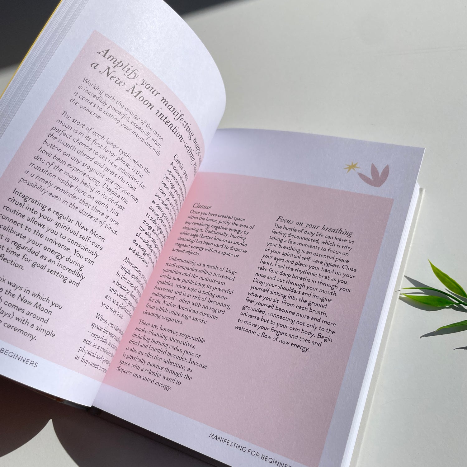 Manifesting For Beginners Victoria Jackson