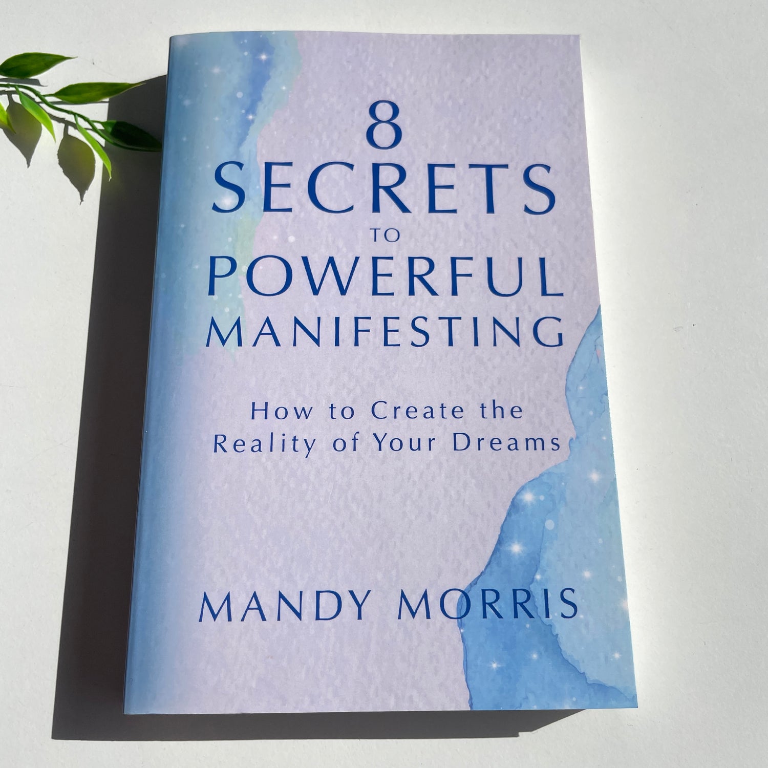 8 Secrets To Powerful Manifesting Mandy Morris