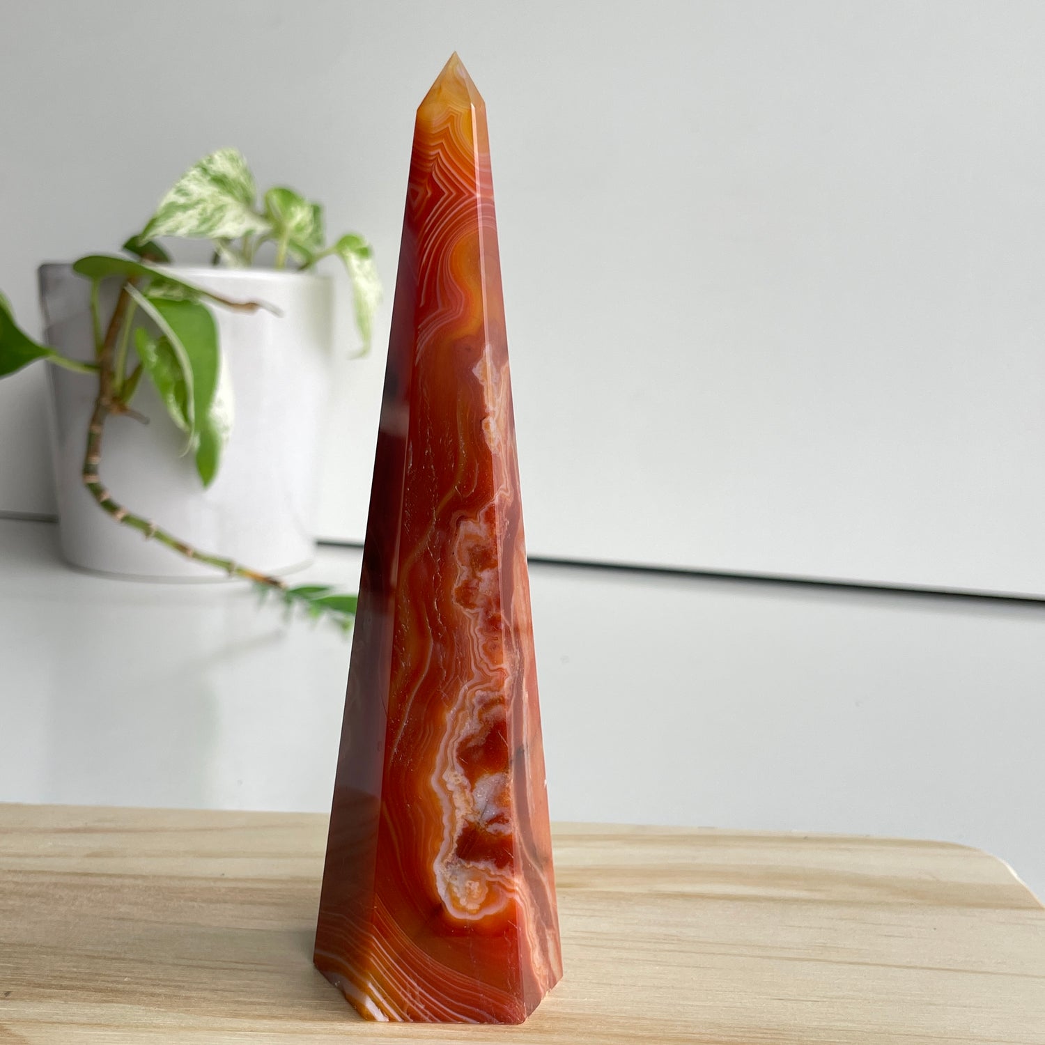 Carnelian Point 15.7cm